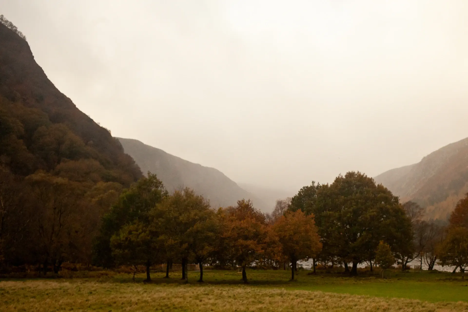 A landscape ablaze with the slow gold of autumn