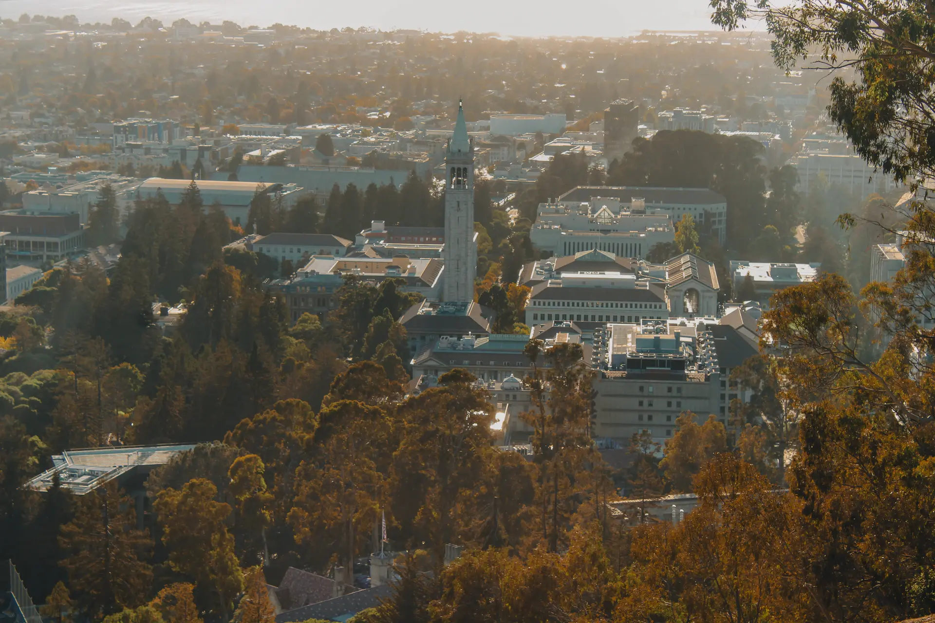 Sofia Nguyen, UC Berkeley admit
