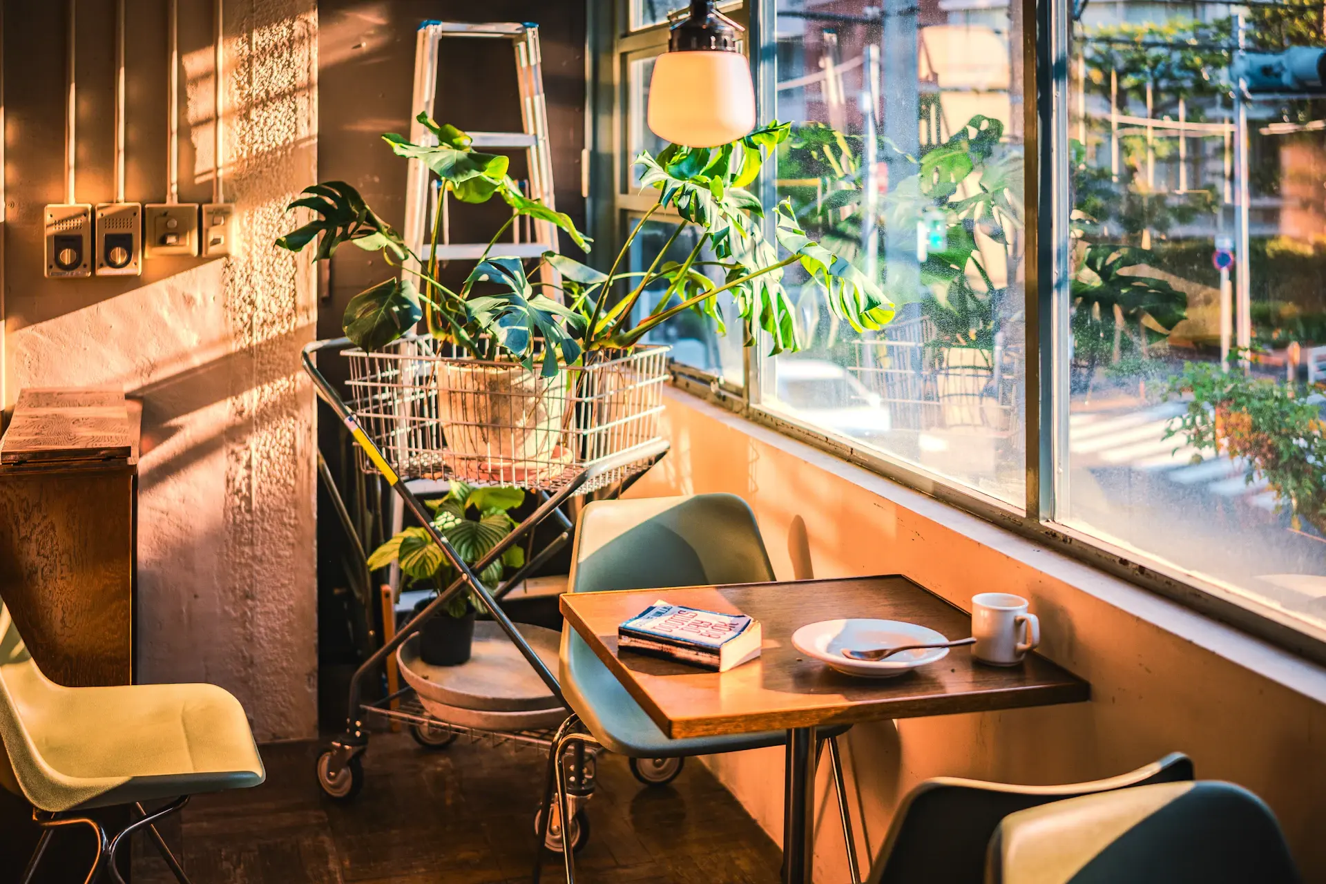 Window seat with stacked books and plants