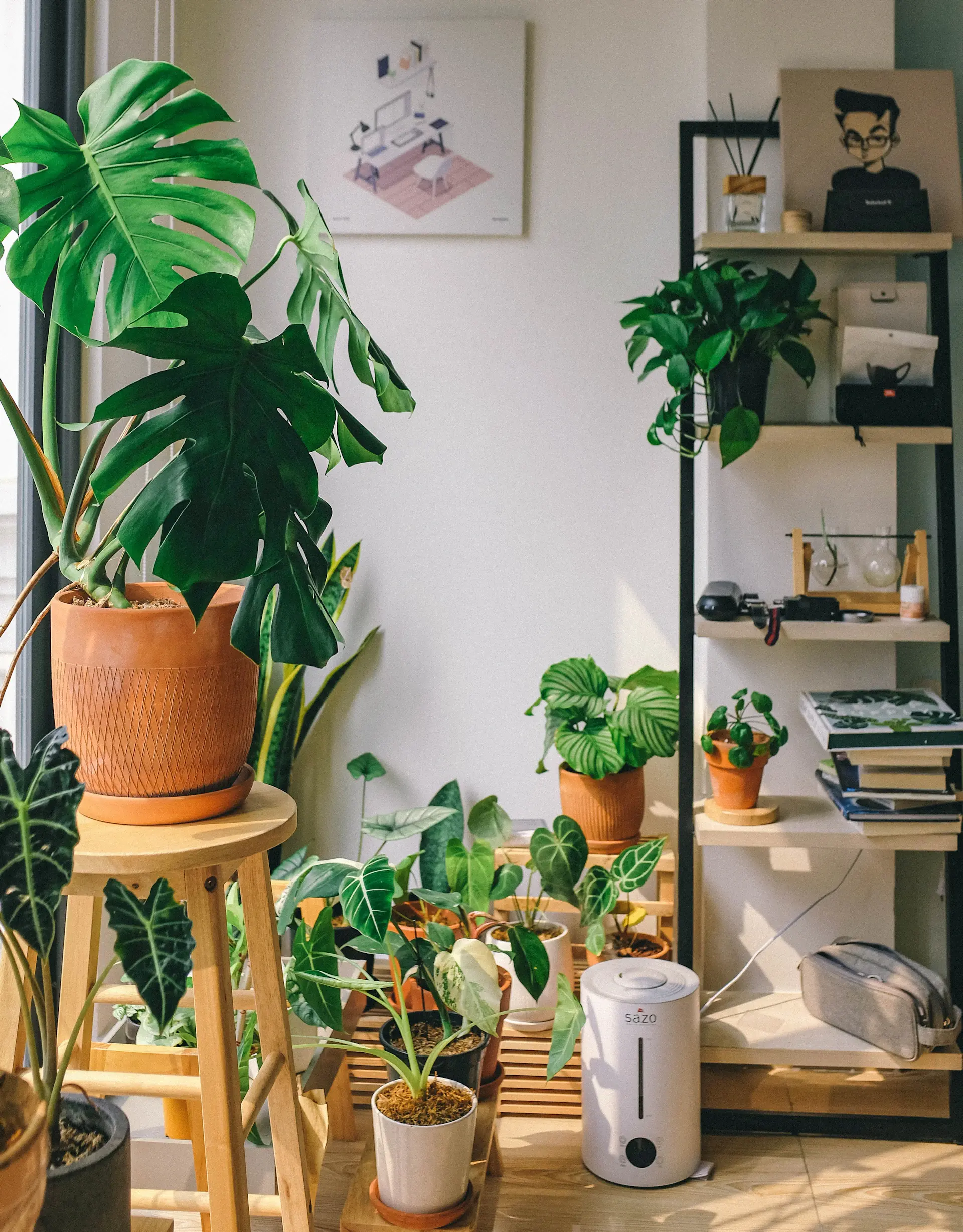A person tending to healthy houseplants in a sunlit room