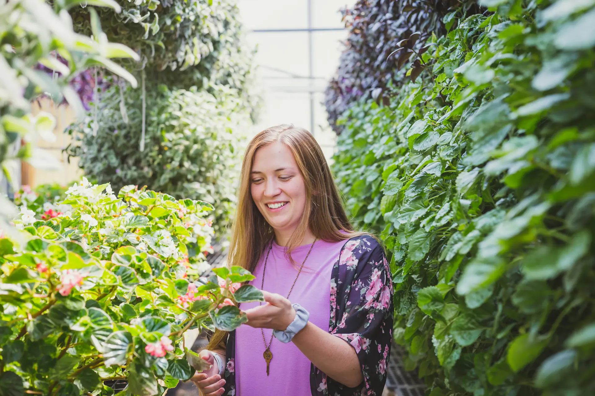 Plant grower tending to rare plants in a greenhouse