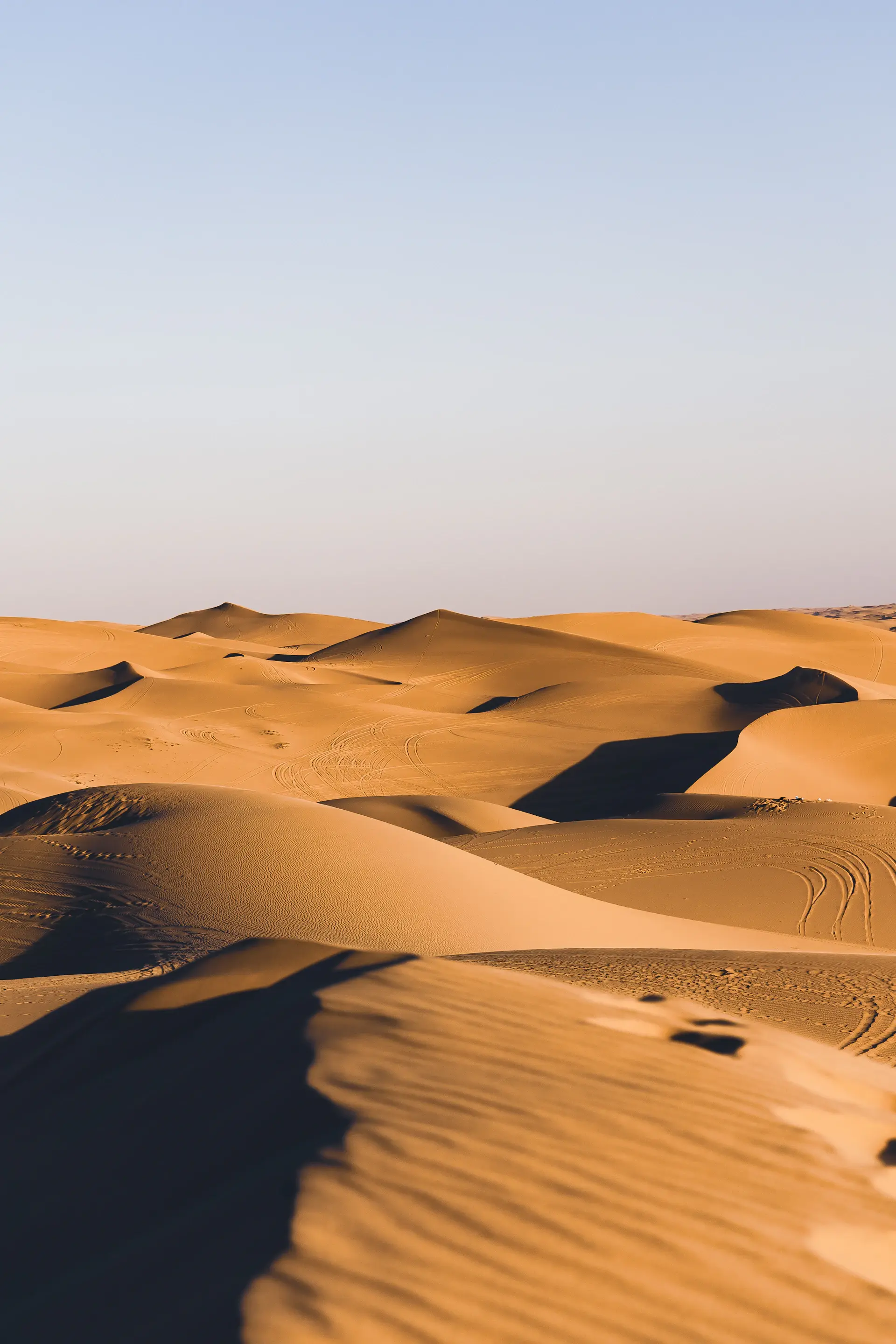Sweeping desert dunes with sharp light and shadow