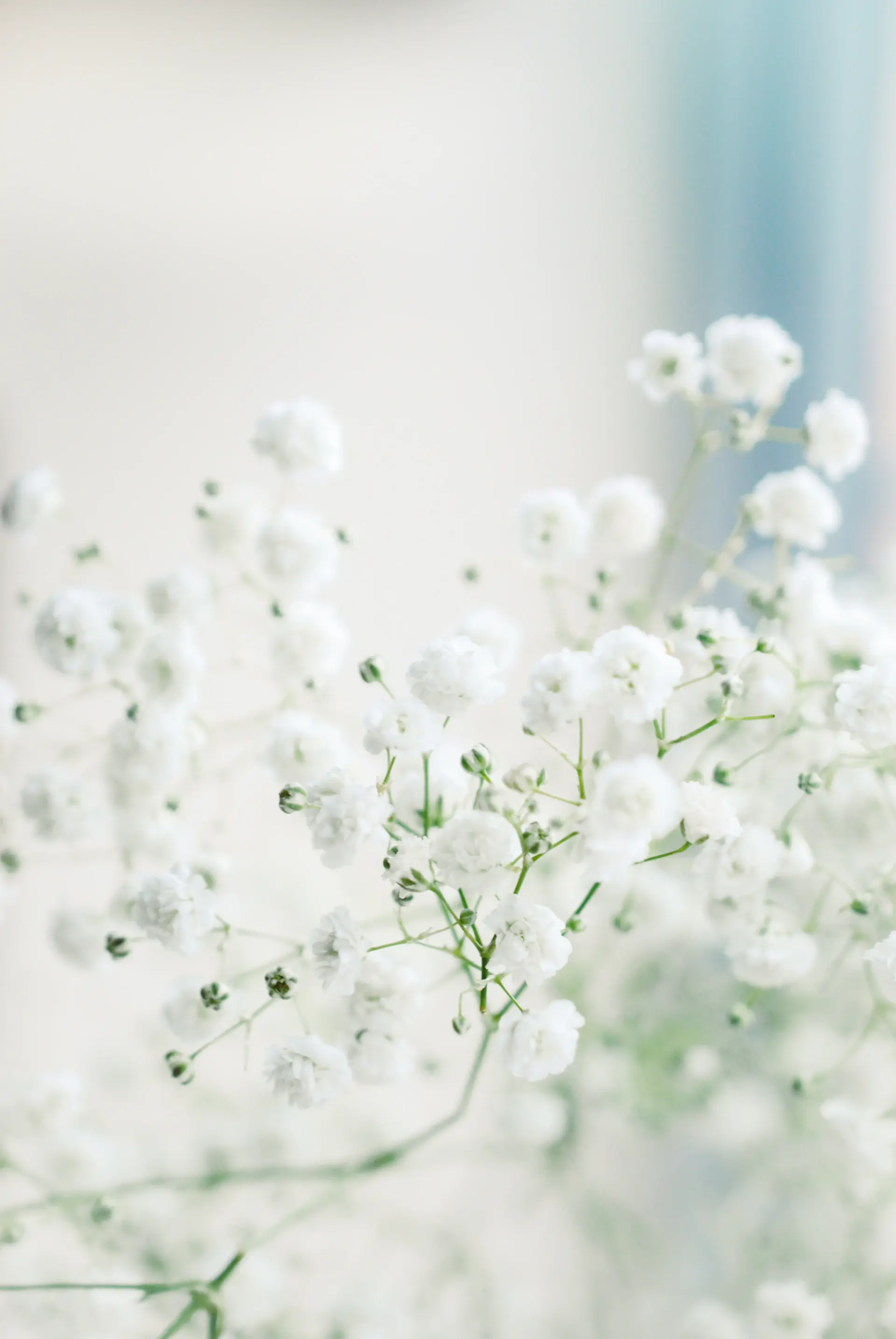 Sculptural white rose vase arrangement