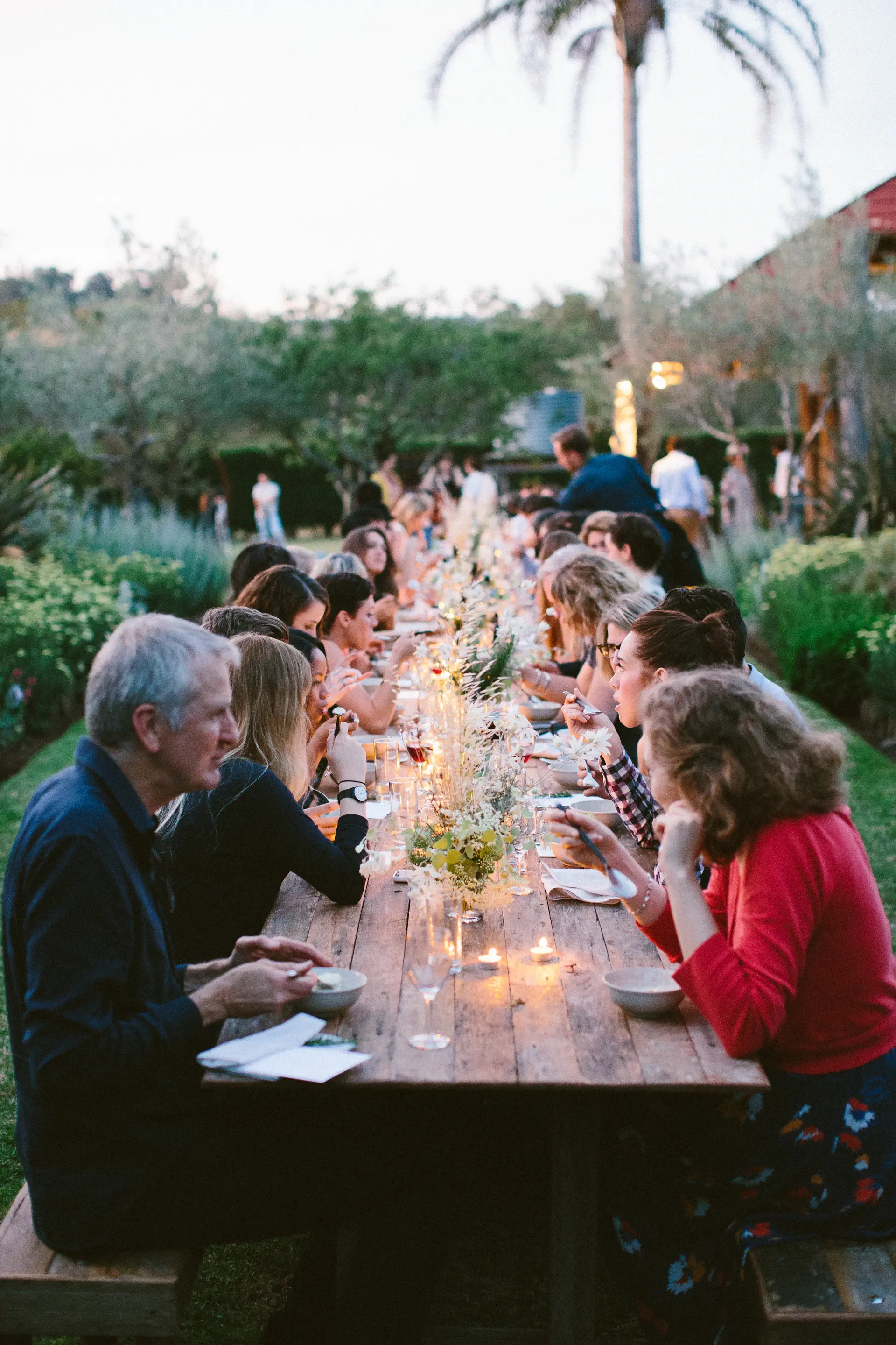 Guests dining beneath an open evening sky