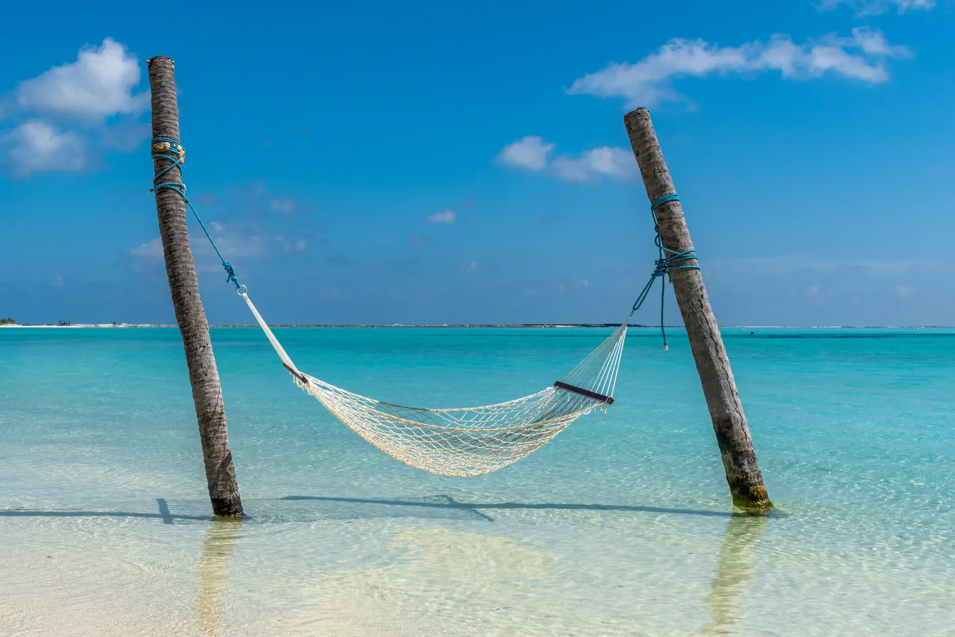A lone hammock strung between palms over still turquoise water