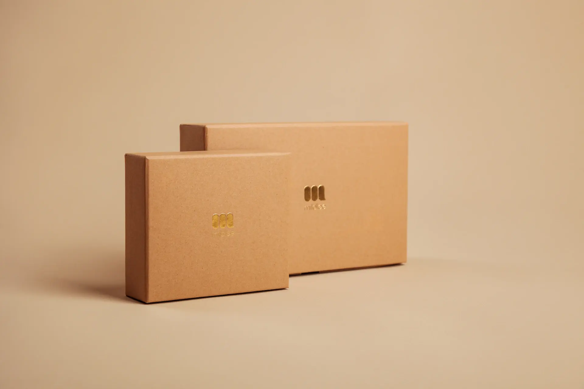 E-commerce paid advertising case study