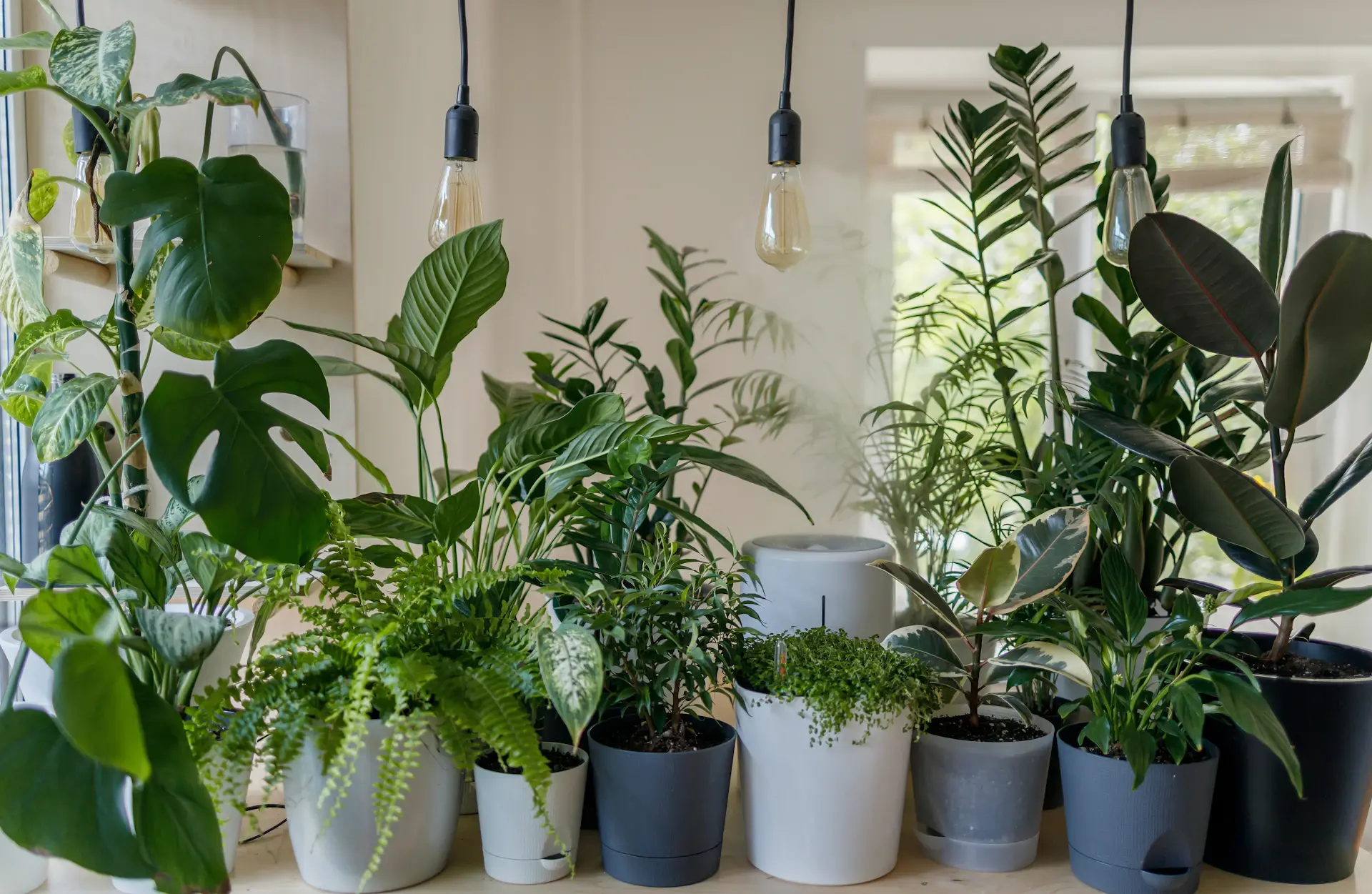 Modern open-plan office softened with tall floor plants and desk greenery