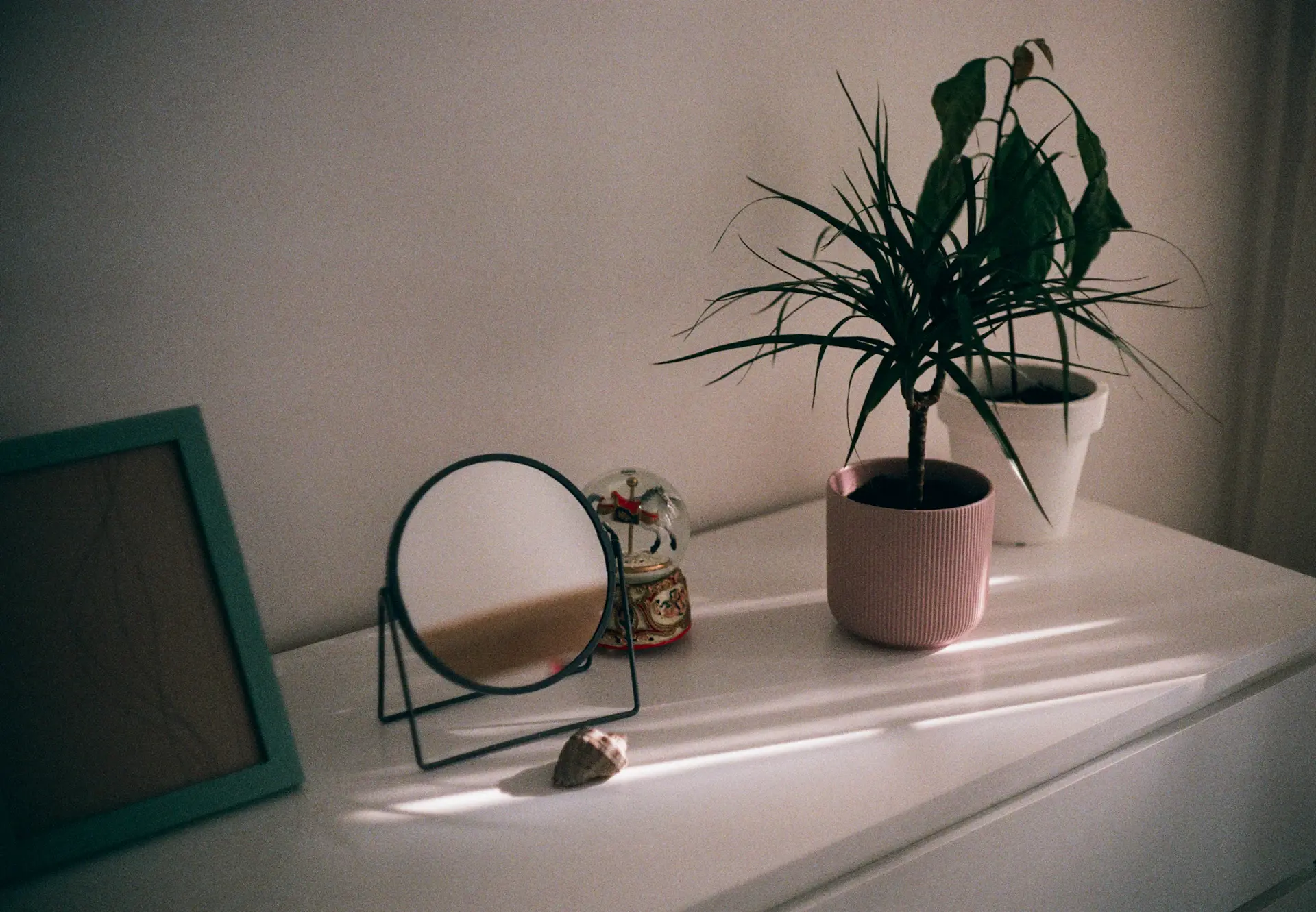 Sunlit living room corner styled with layered houseplants and woven pots