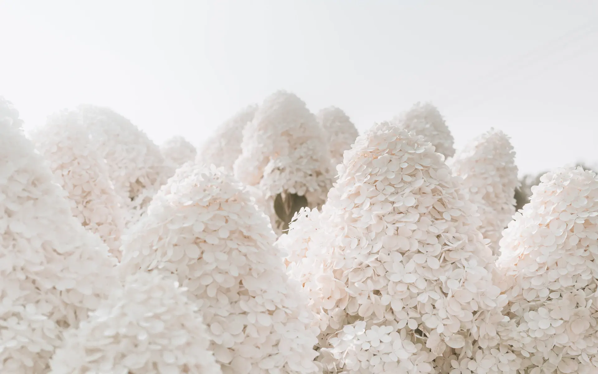 Towering floral installation framing an event entrance