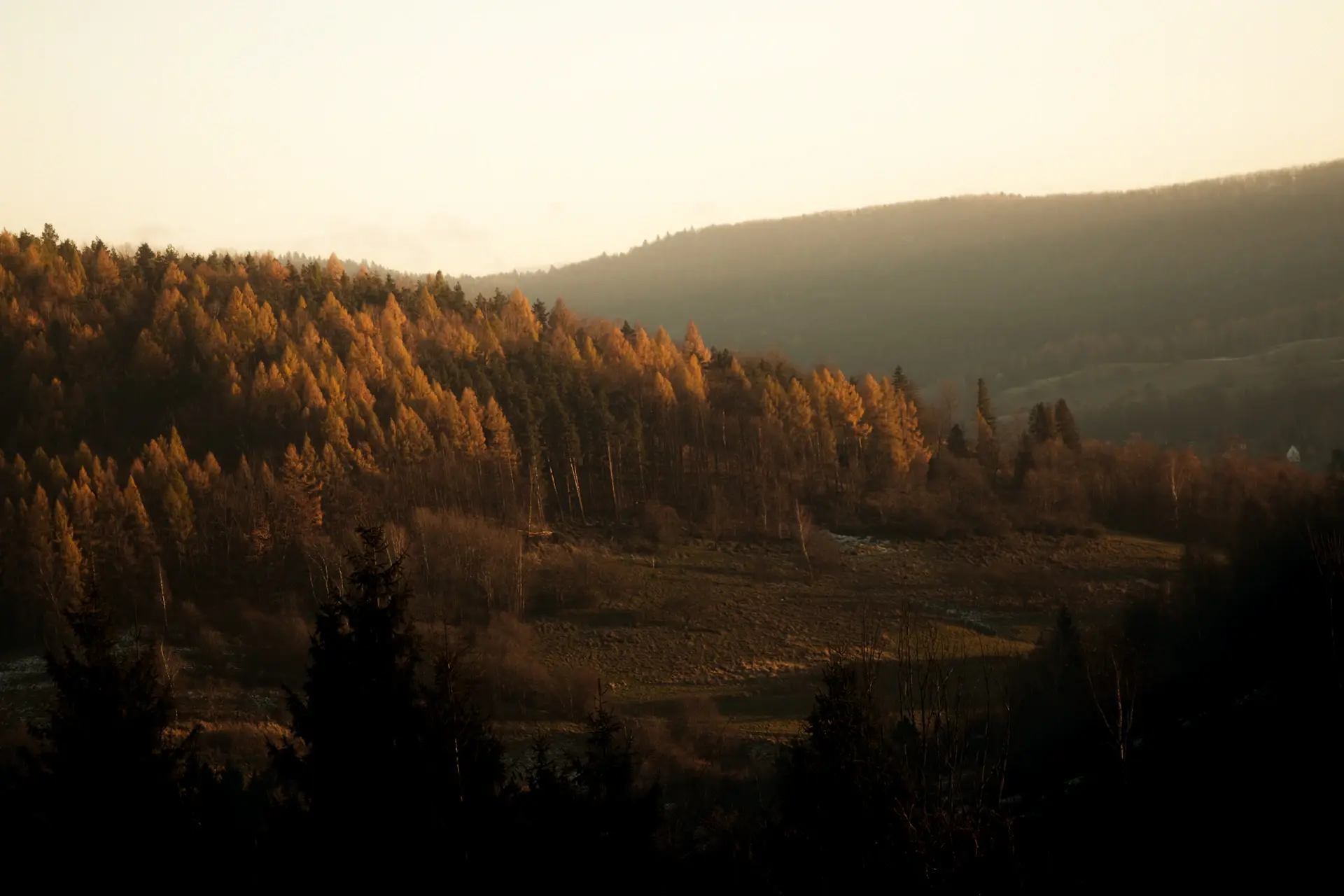 Dusk falling over an endless forested valley