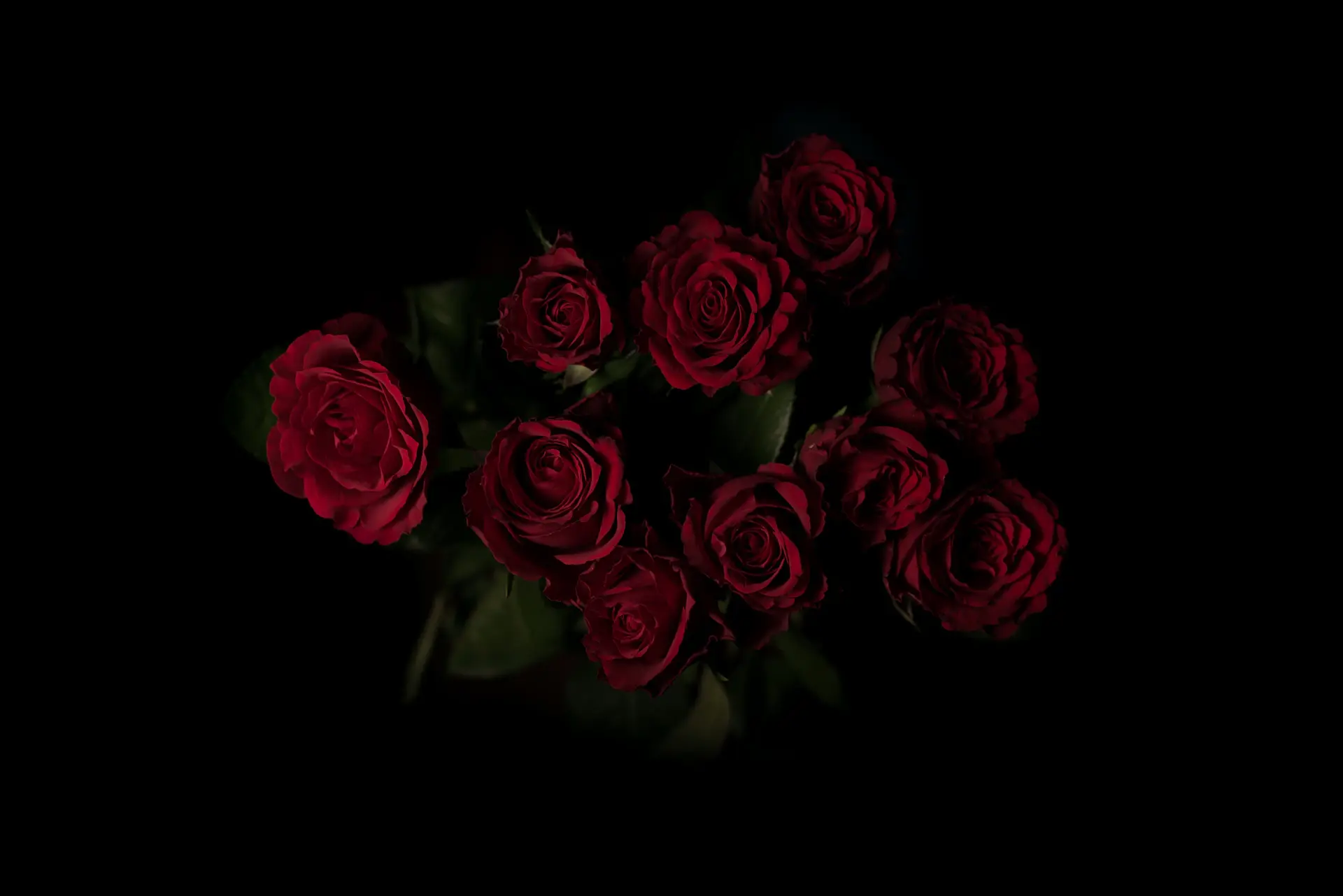 Maison Rose luxury rose bouquet on a dark elegant background