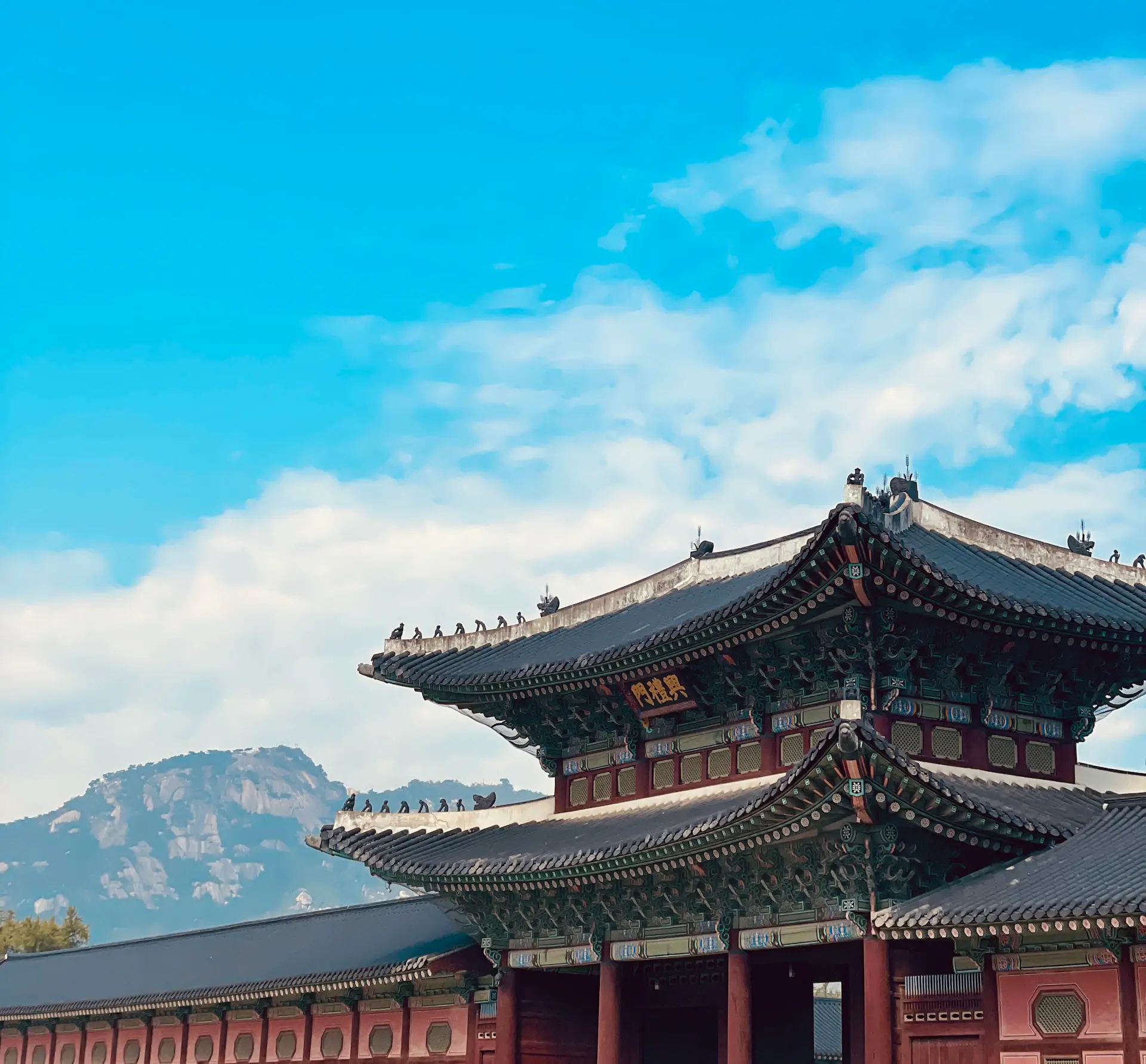 Portrait of Ji-Ho Park, accepted to Yonsei University