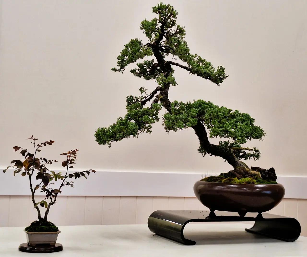 Wabi-sabi