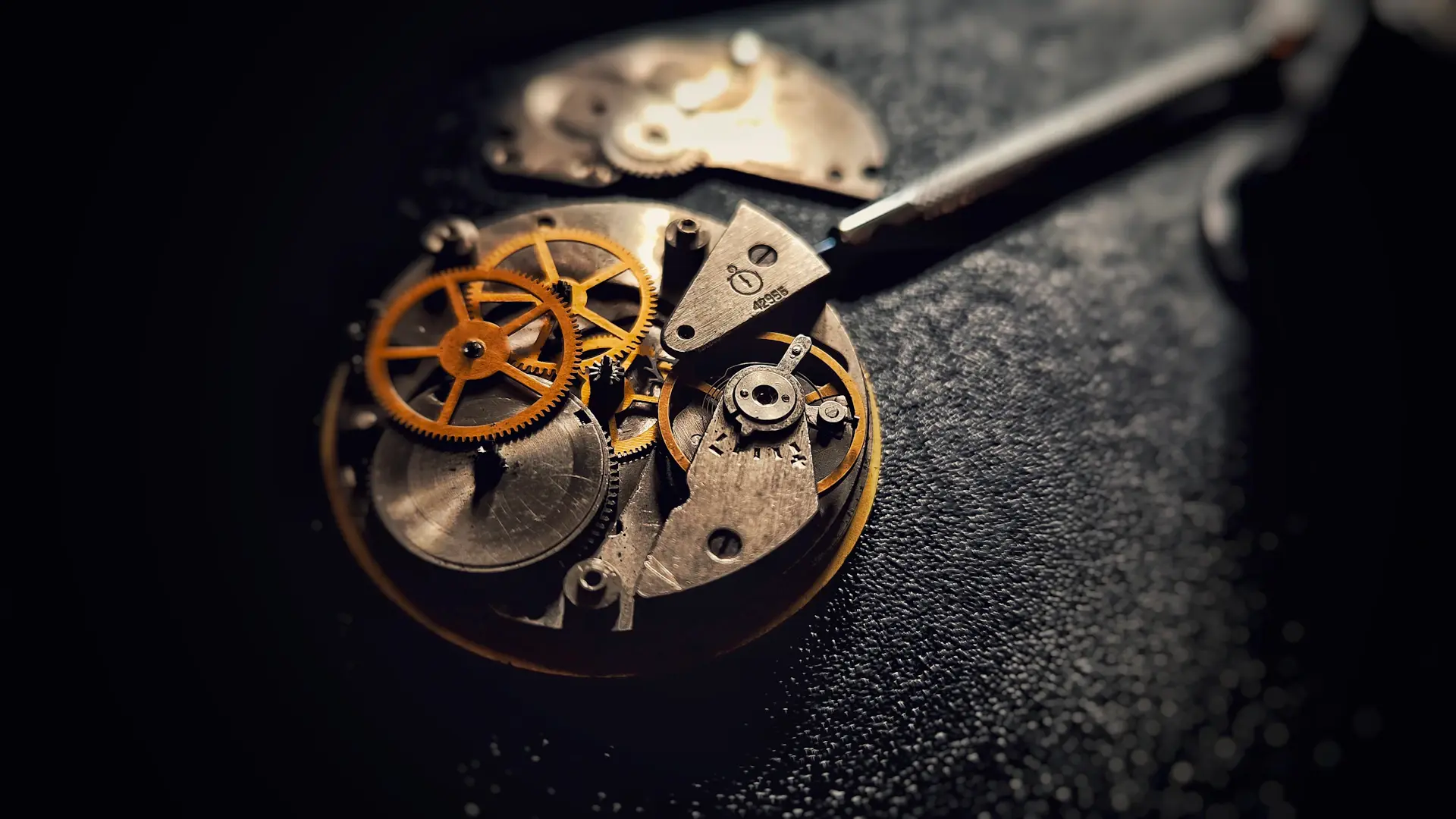 Nghệ nhân Aurelia tại atelier Geneva