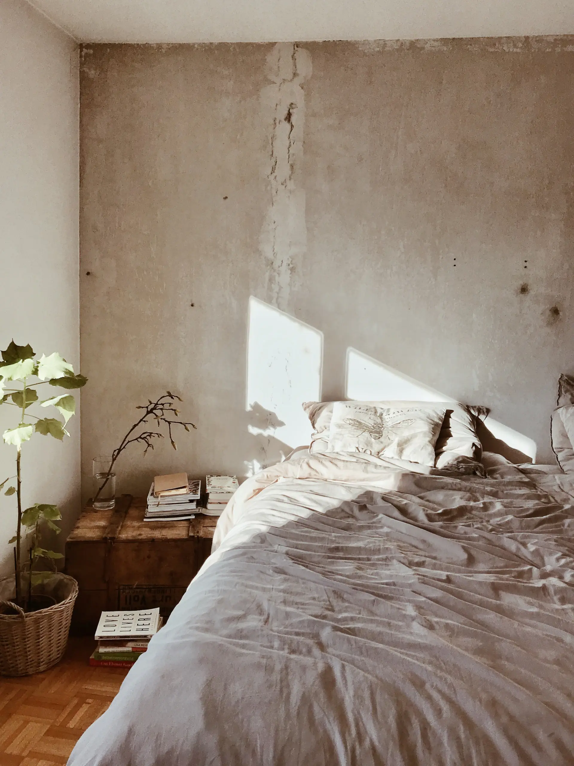 Không gian homestay ấm cúng