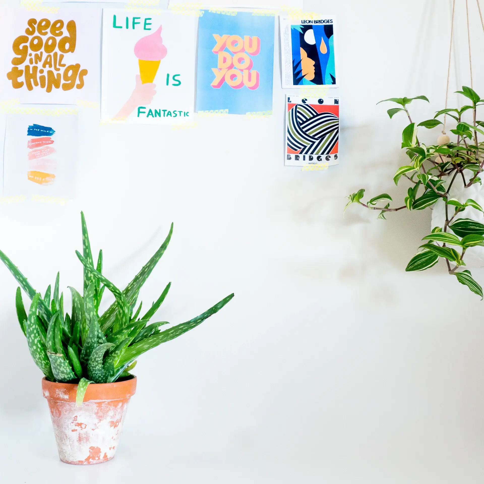 Open-plan office softened with potted greenery