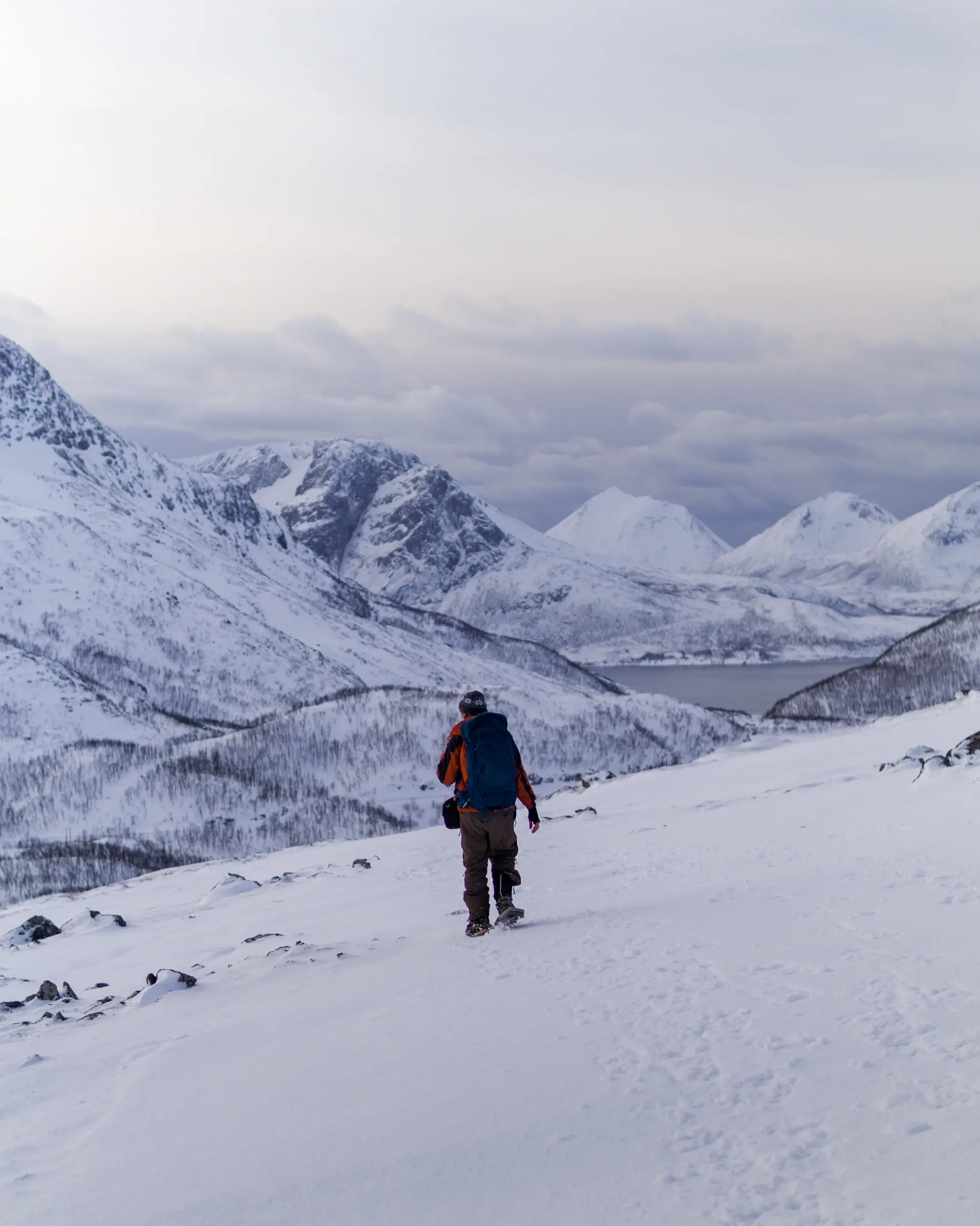 Sheer arctic peaks rising straight from still water
