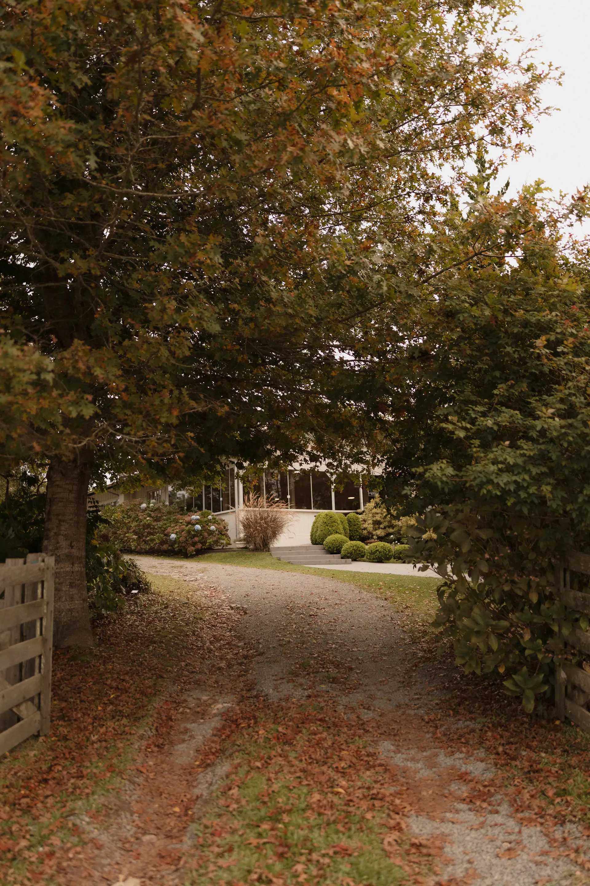 Secluded private estate framed by mature trees