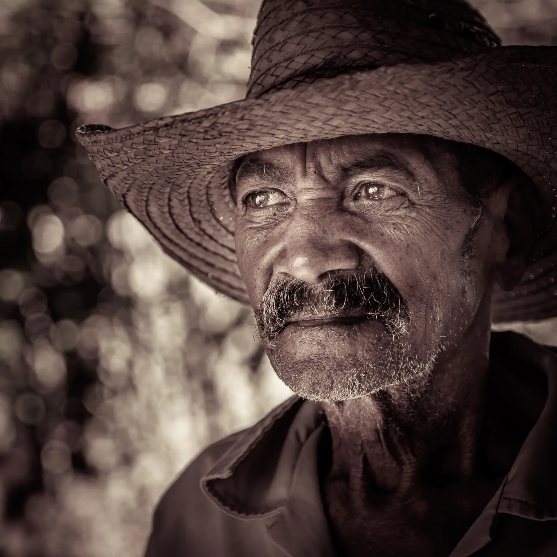 Portrait of Pedro Alves