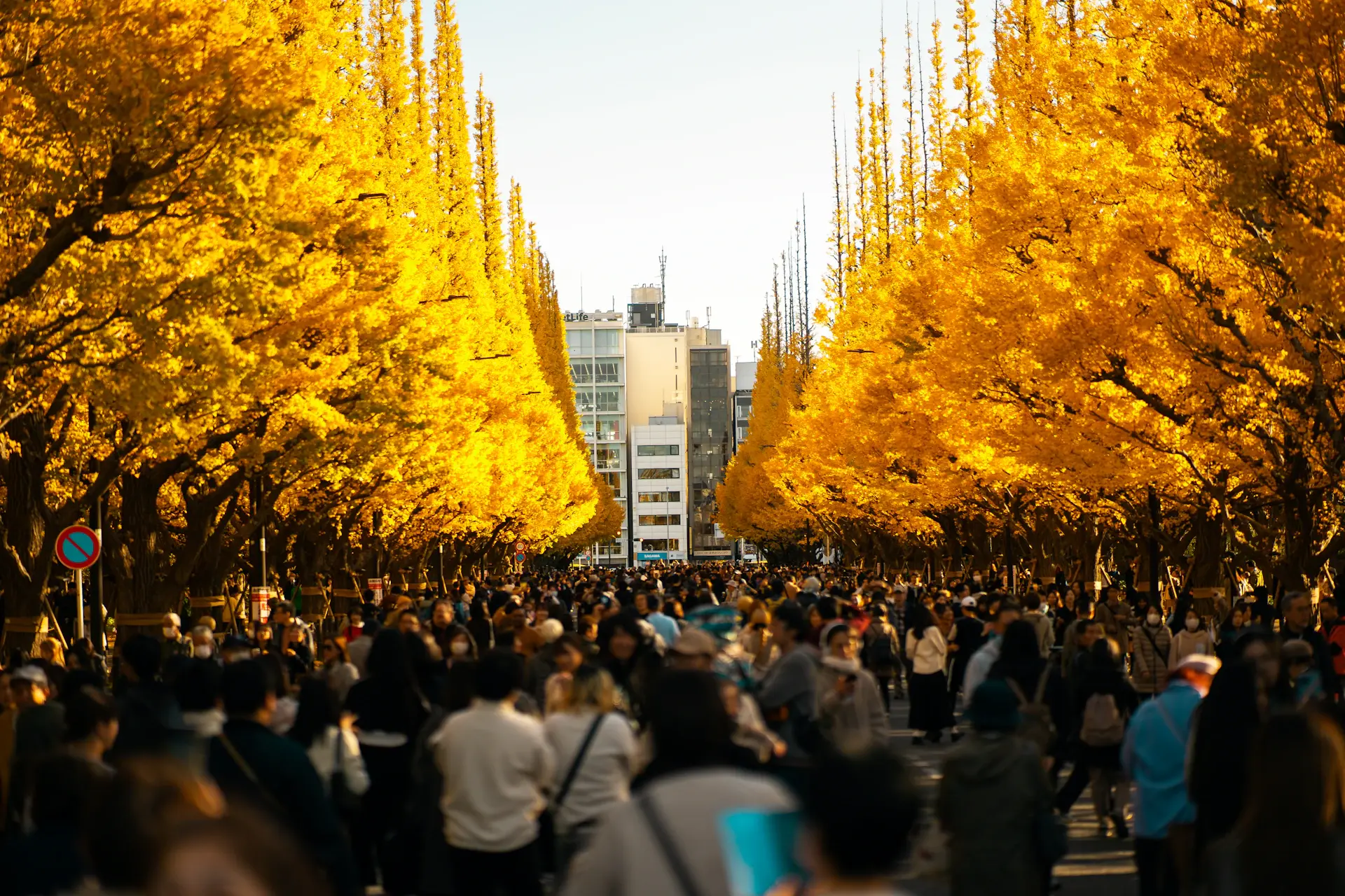 Học viên tại Đại học Tokyo