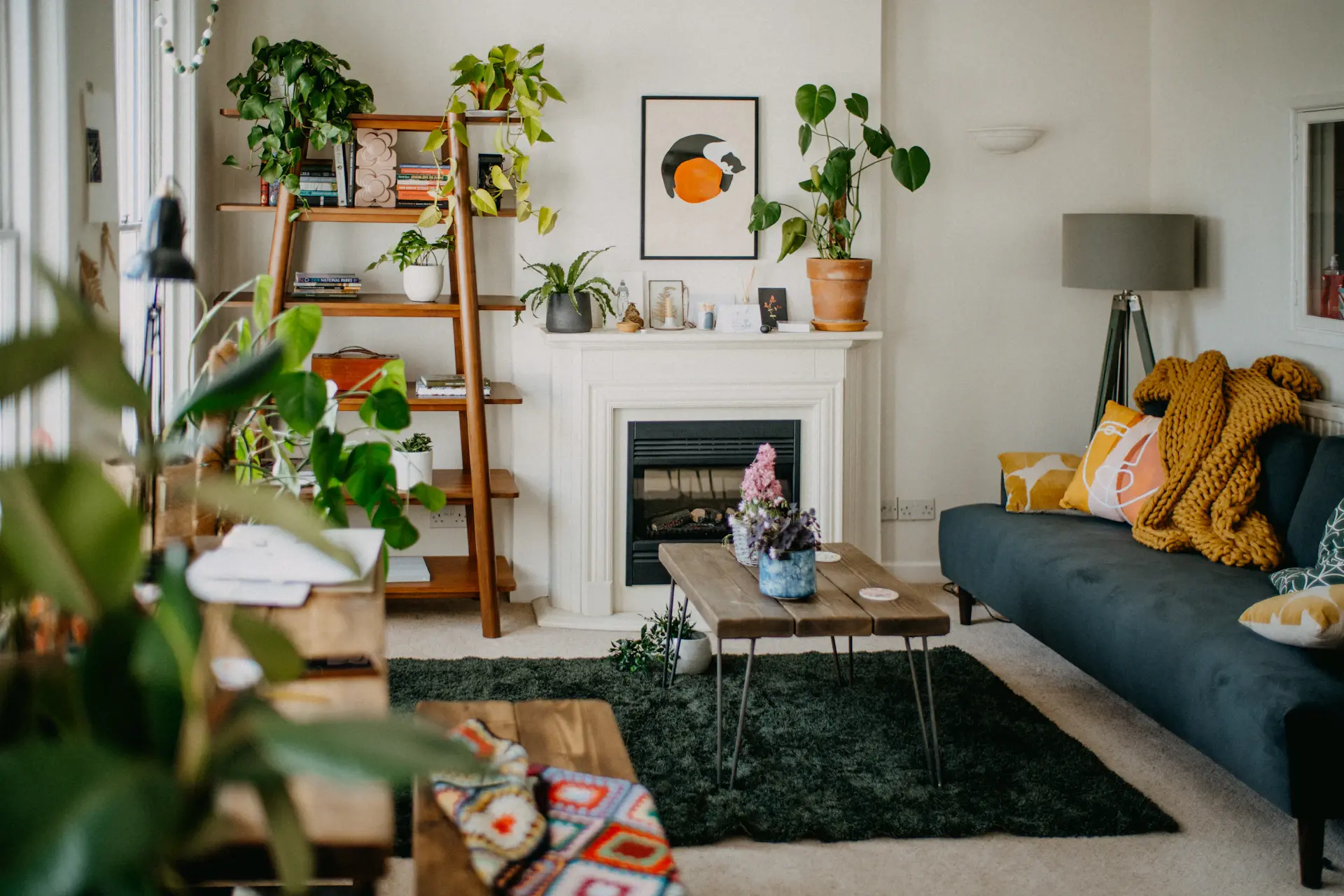 Cosy living room filled with layered green plants and warm light