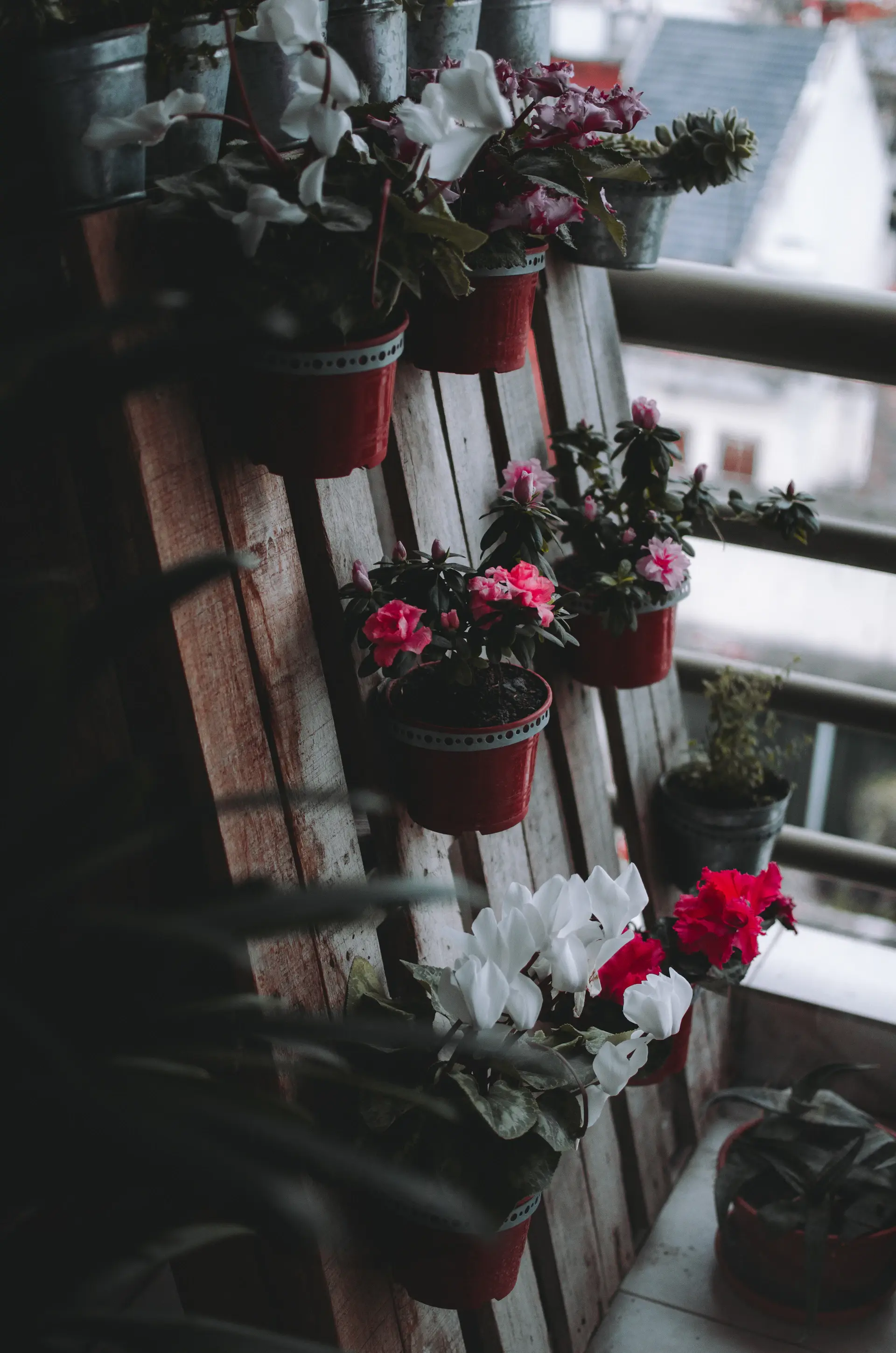 Balcony garden with potted plants