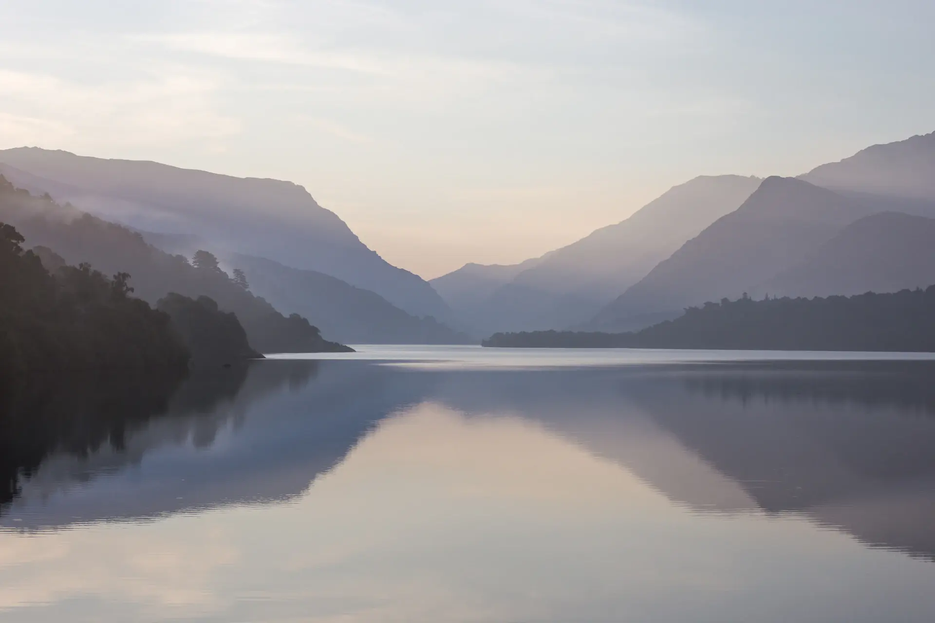 Soft morning mist resting over a calm forest lake