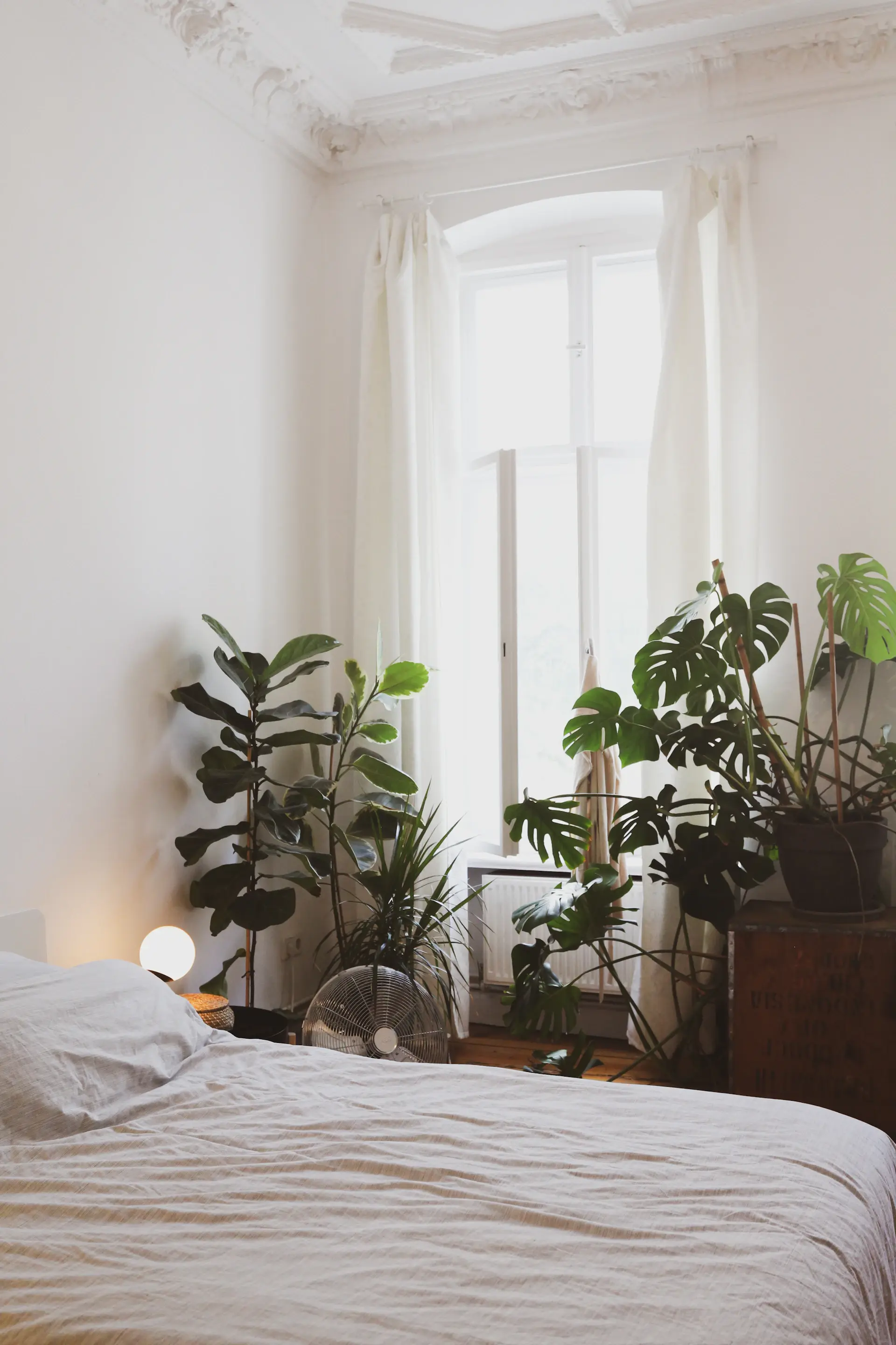 Cây xanh và rèm linen trong phòng ngủ