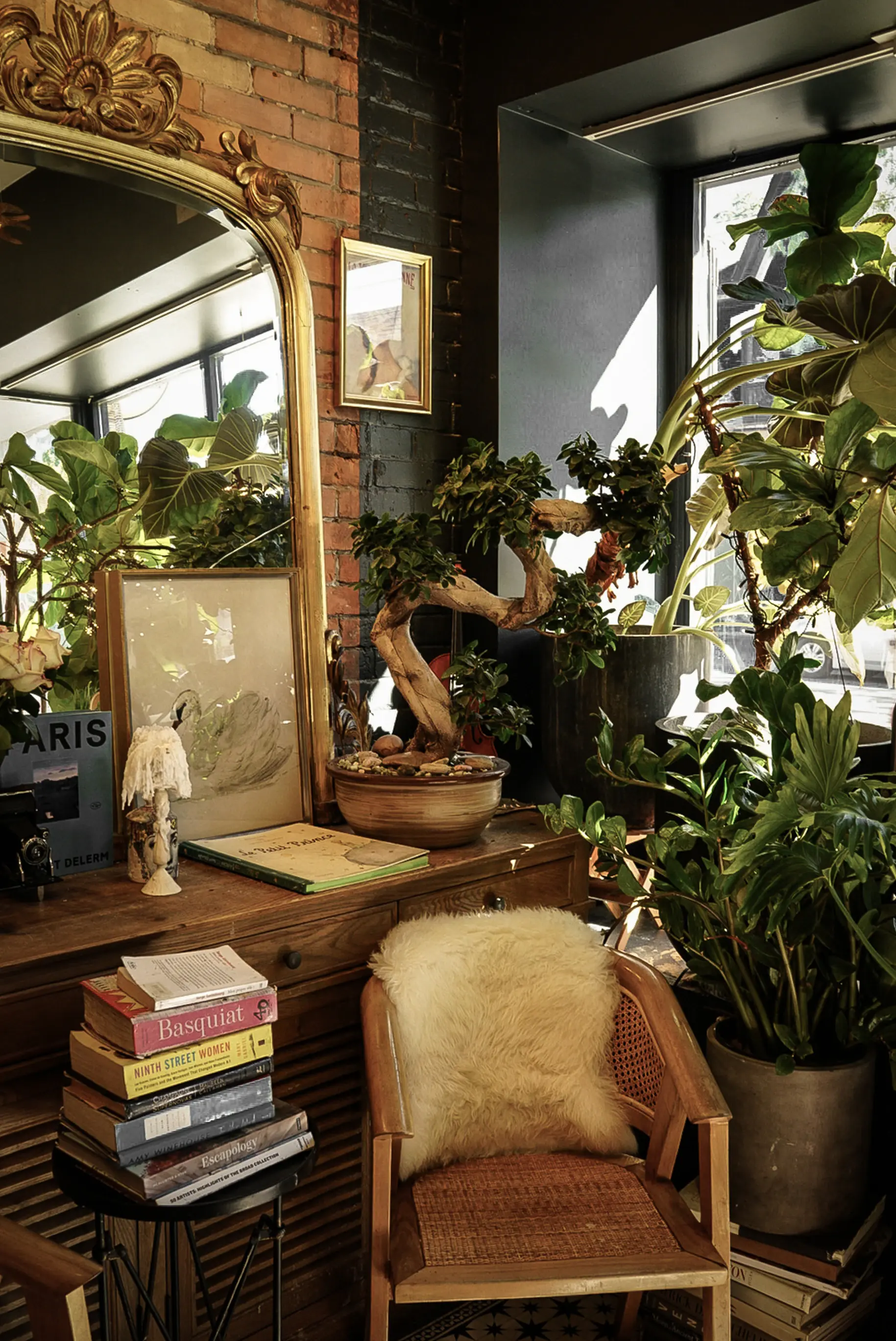 Reading nook framed by tall houseplants
