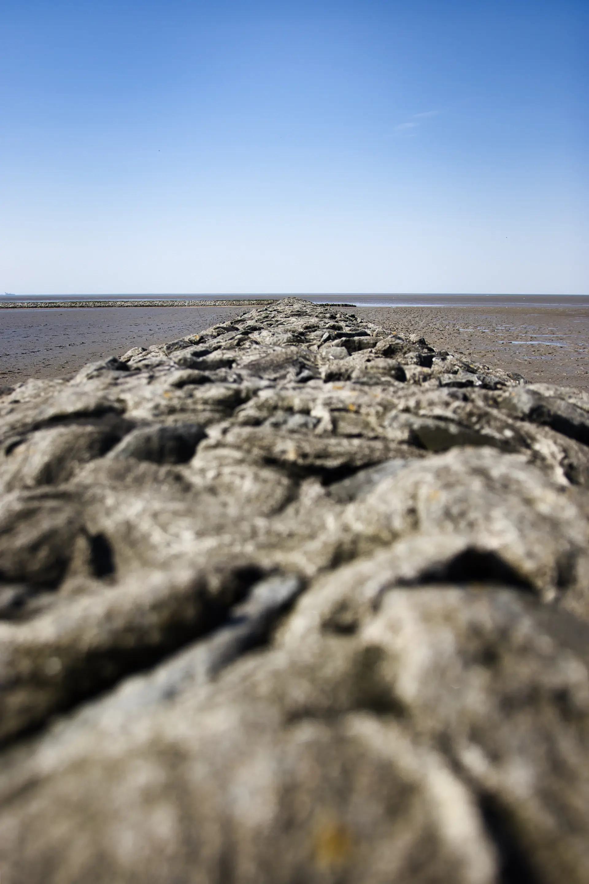 Wide empty shoreline at low tide under soft grey light