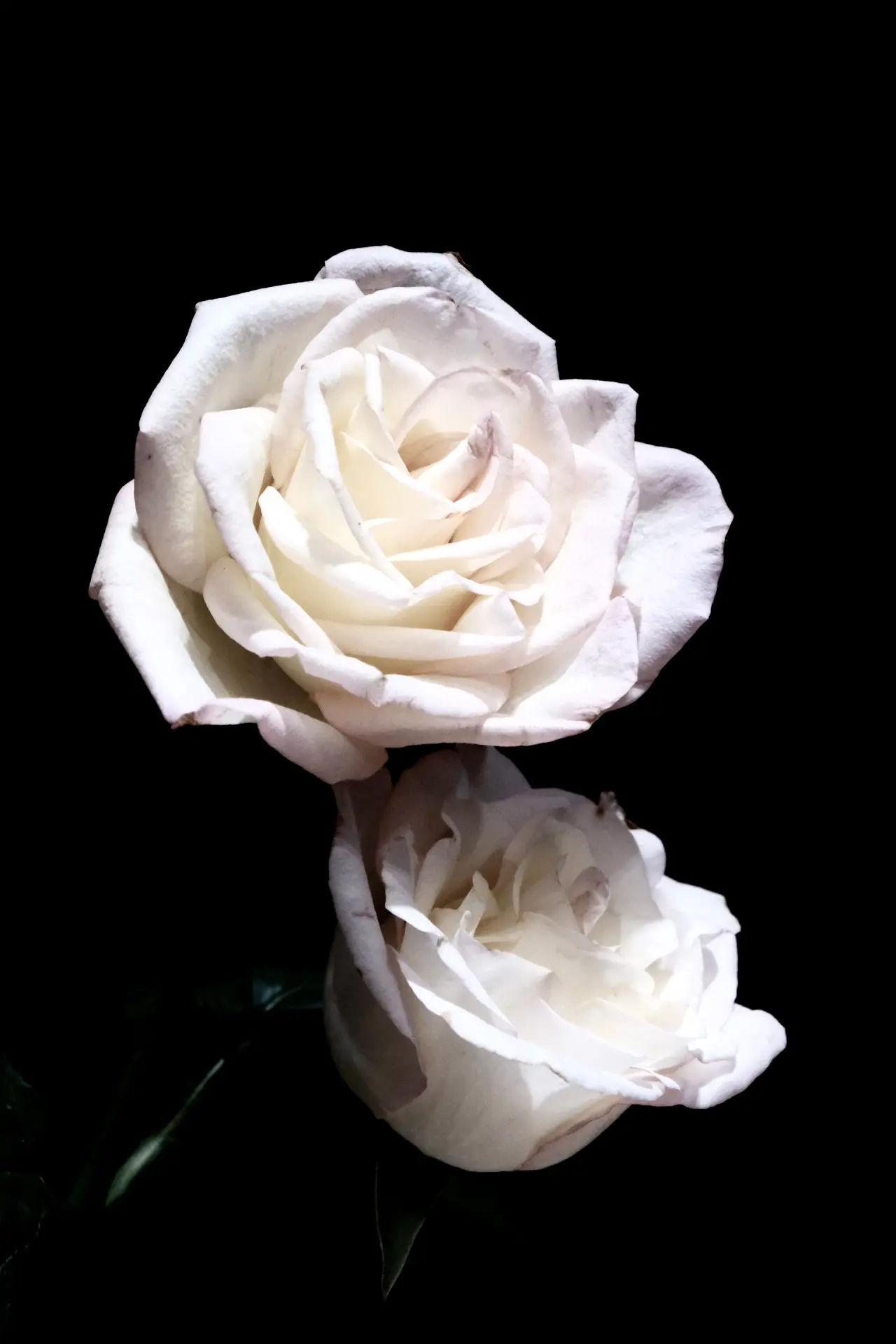 Silk ribbon detail on a rose gift box