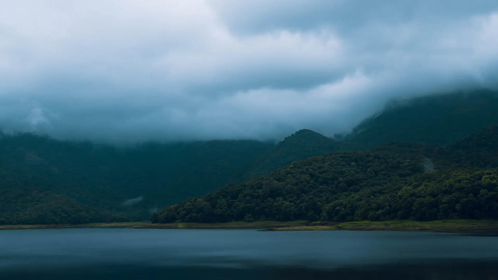 A dim, weathered landscape held between two seasons