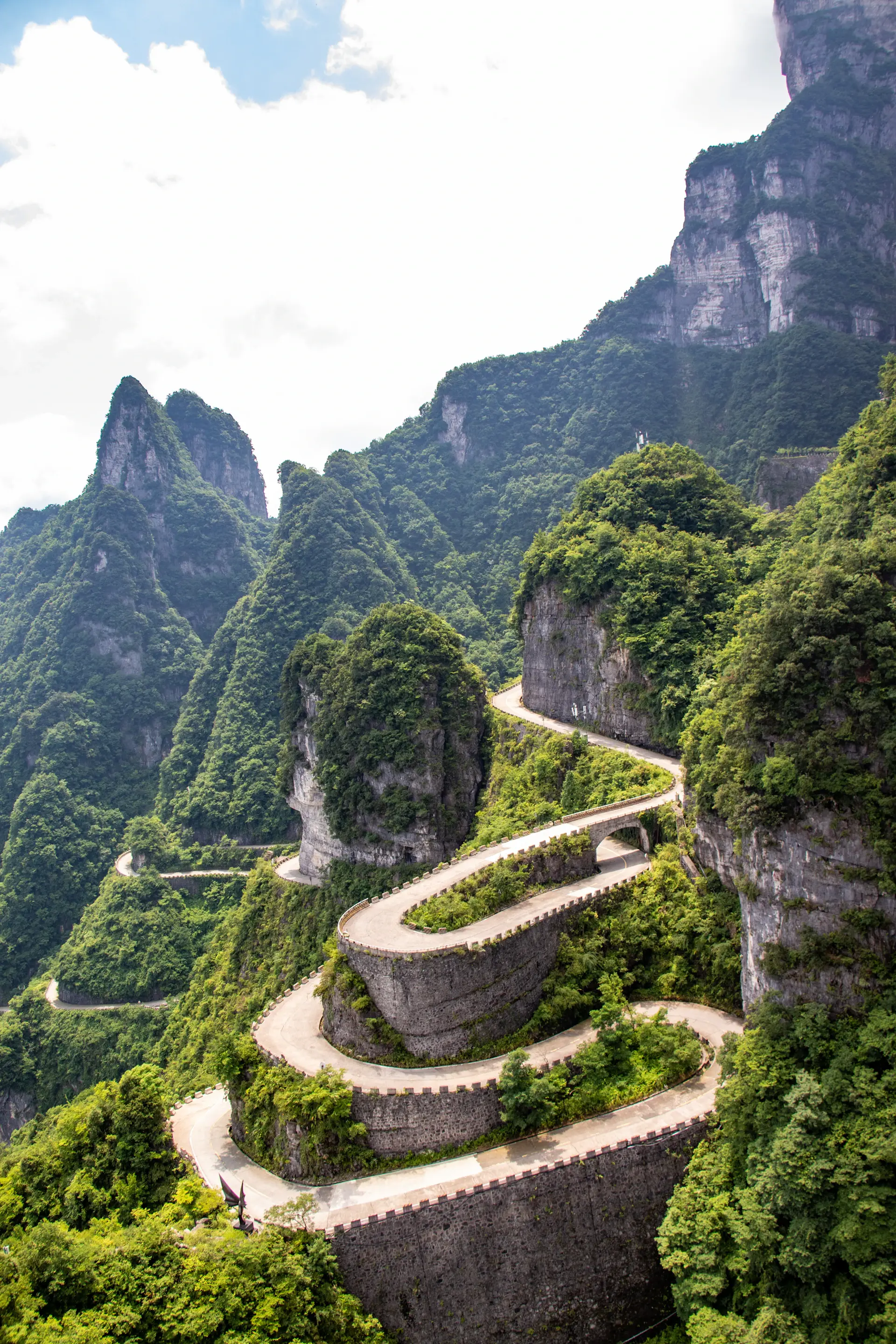 Núi treo Trương Gia Giới trong sương