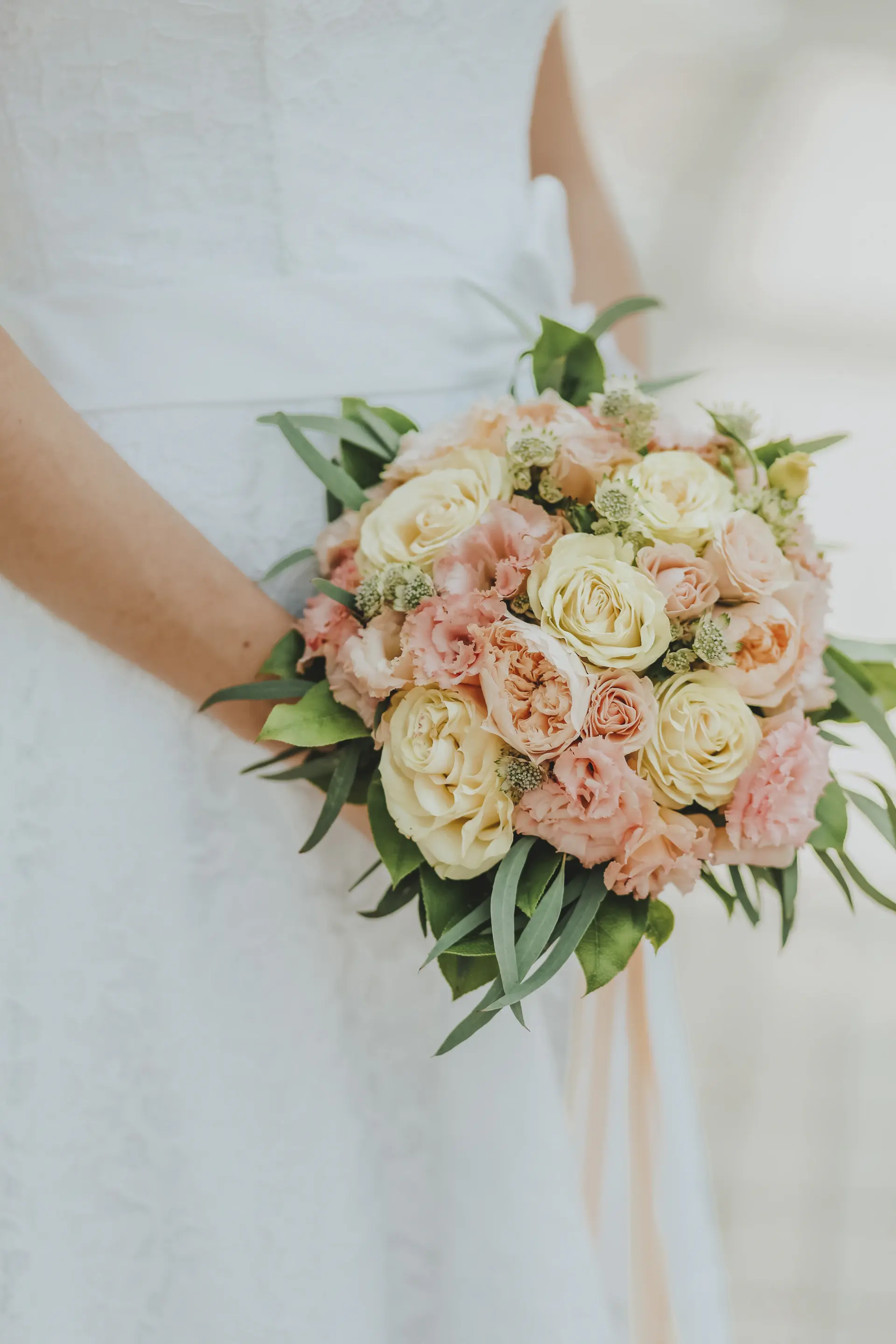Maison Rose luxury rose collection