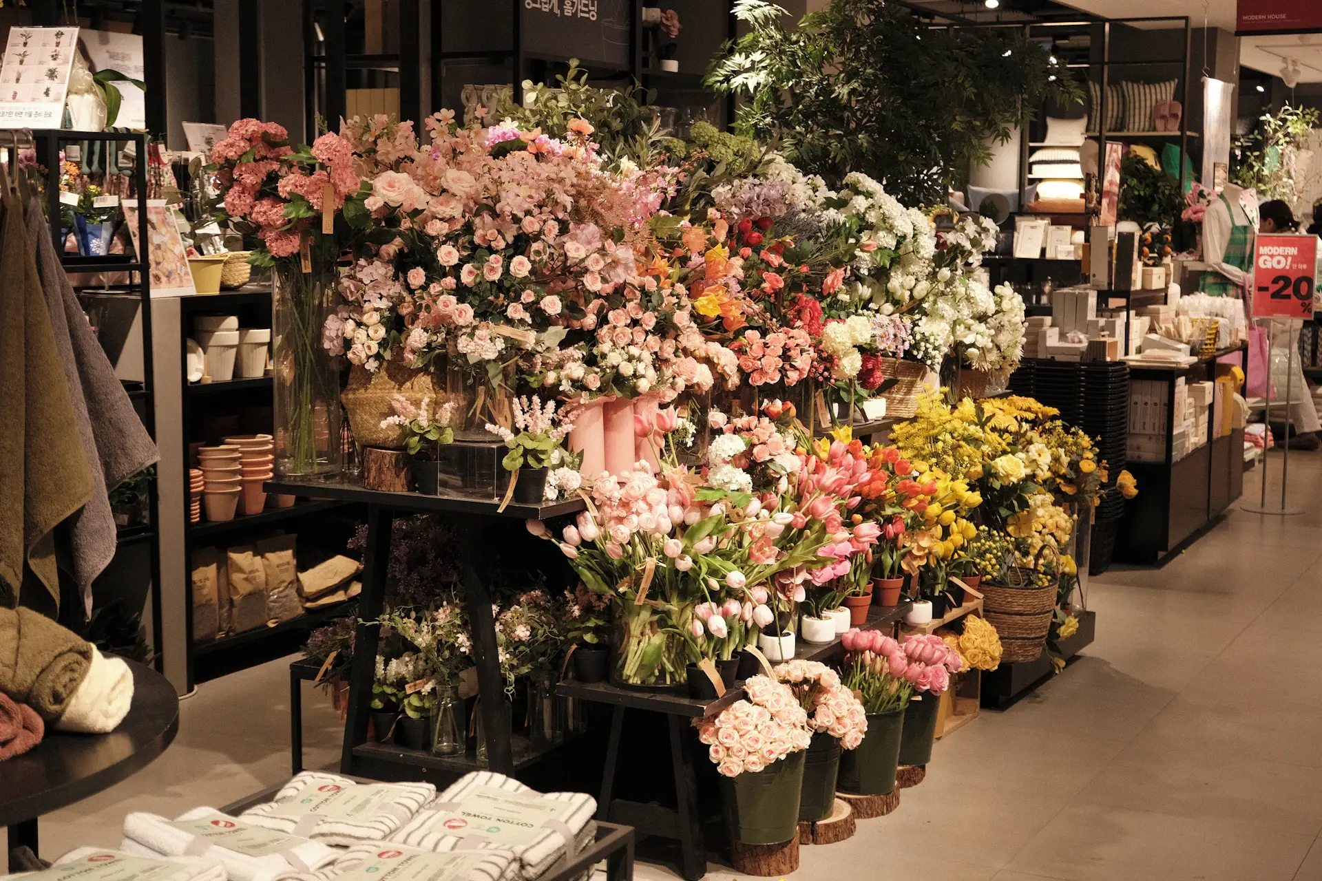 Lắp đặt cây tại nhà