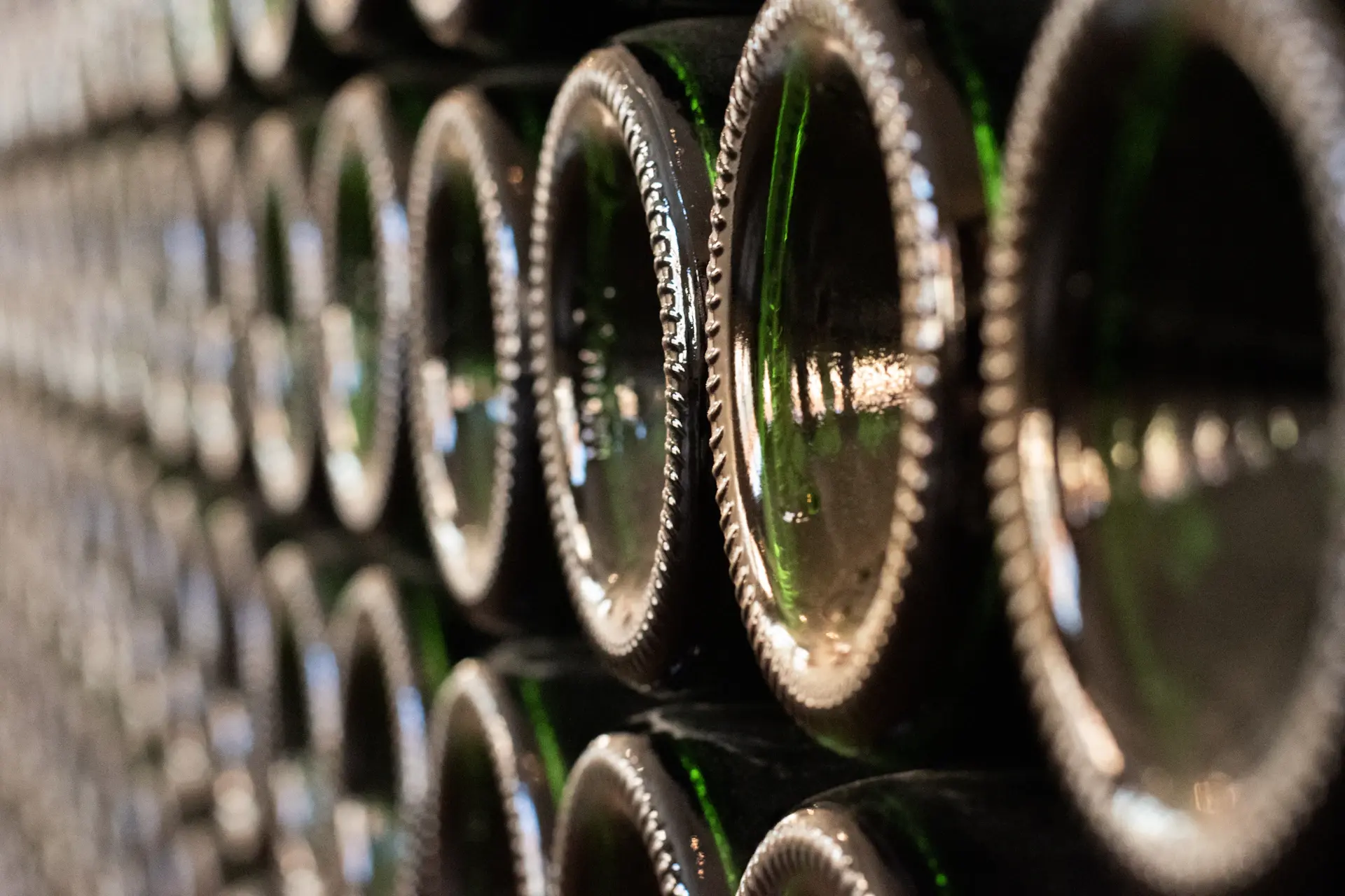 Champagne bottles riddled at an angle in chalk cellars