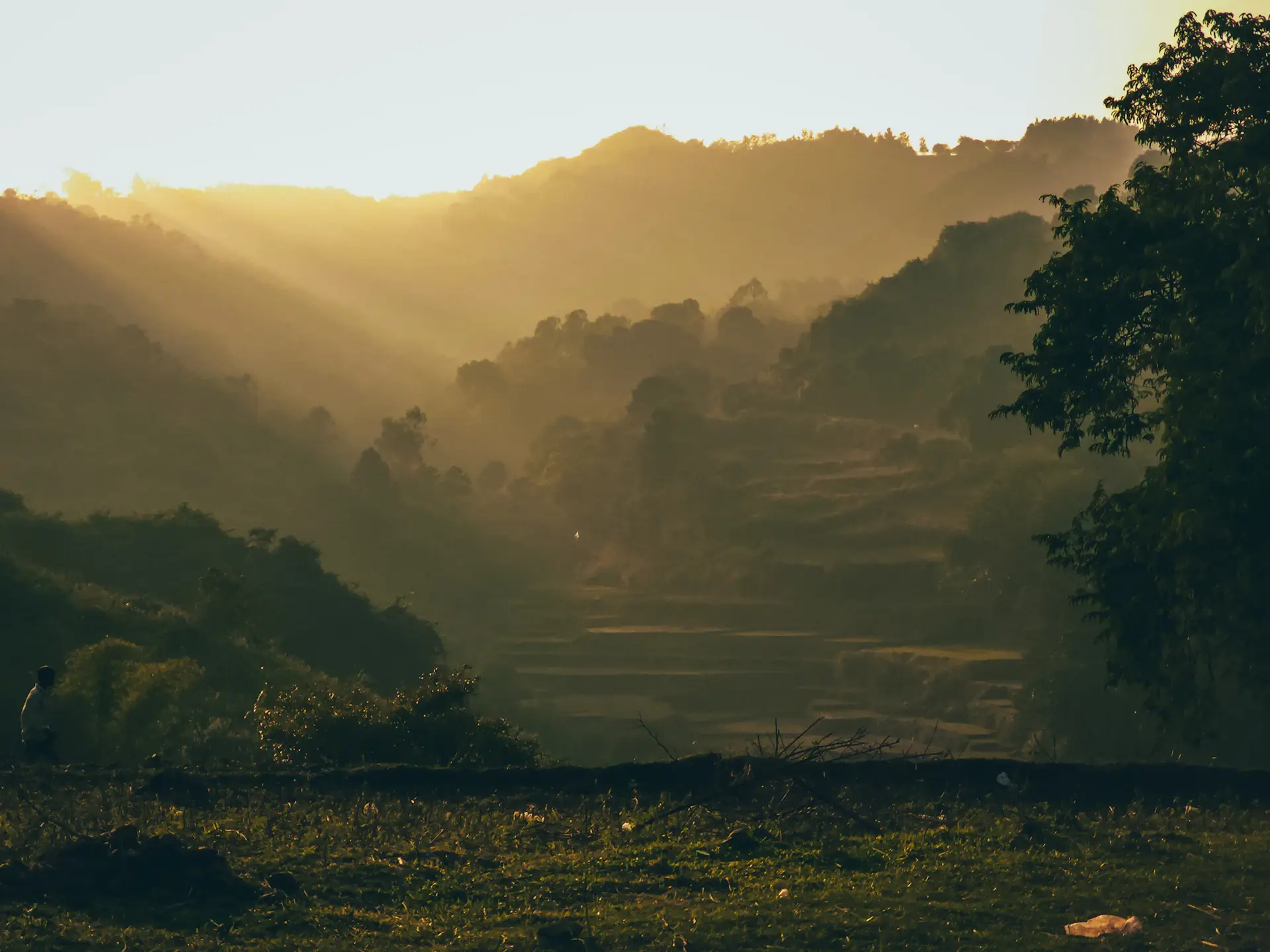 Thiền định đón bình minh trên đồi tại An Lam Retreats