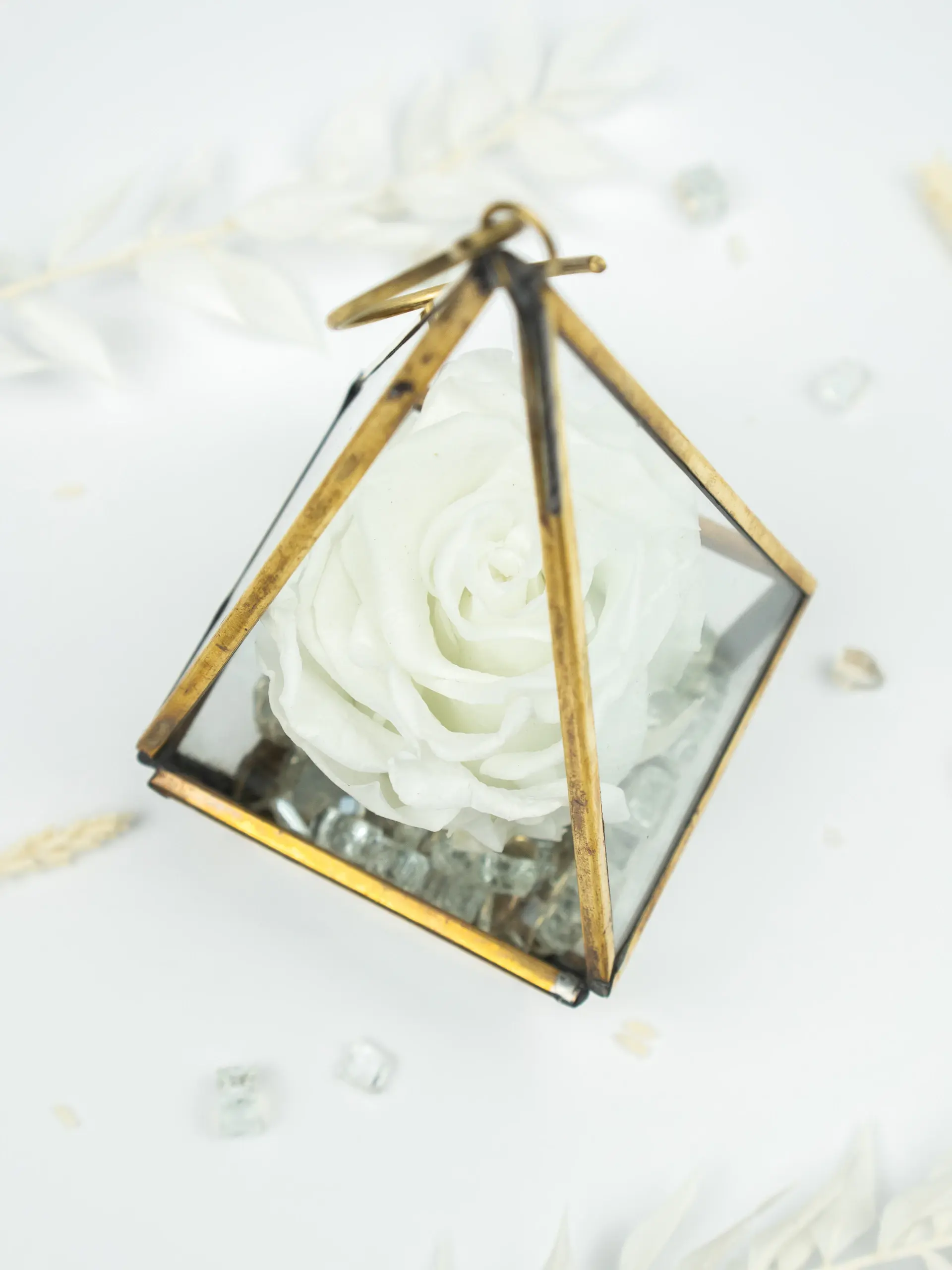 Preserved roses in glass case