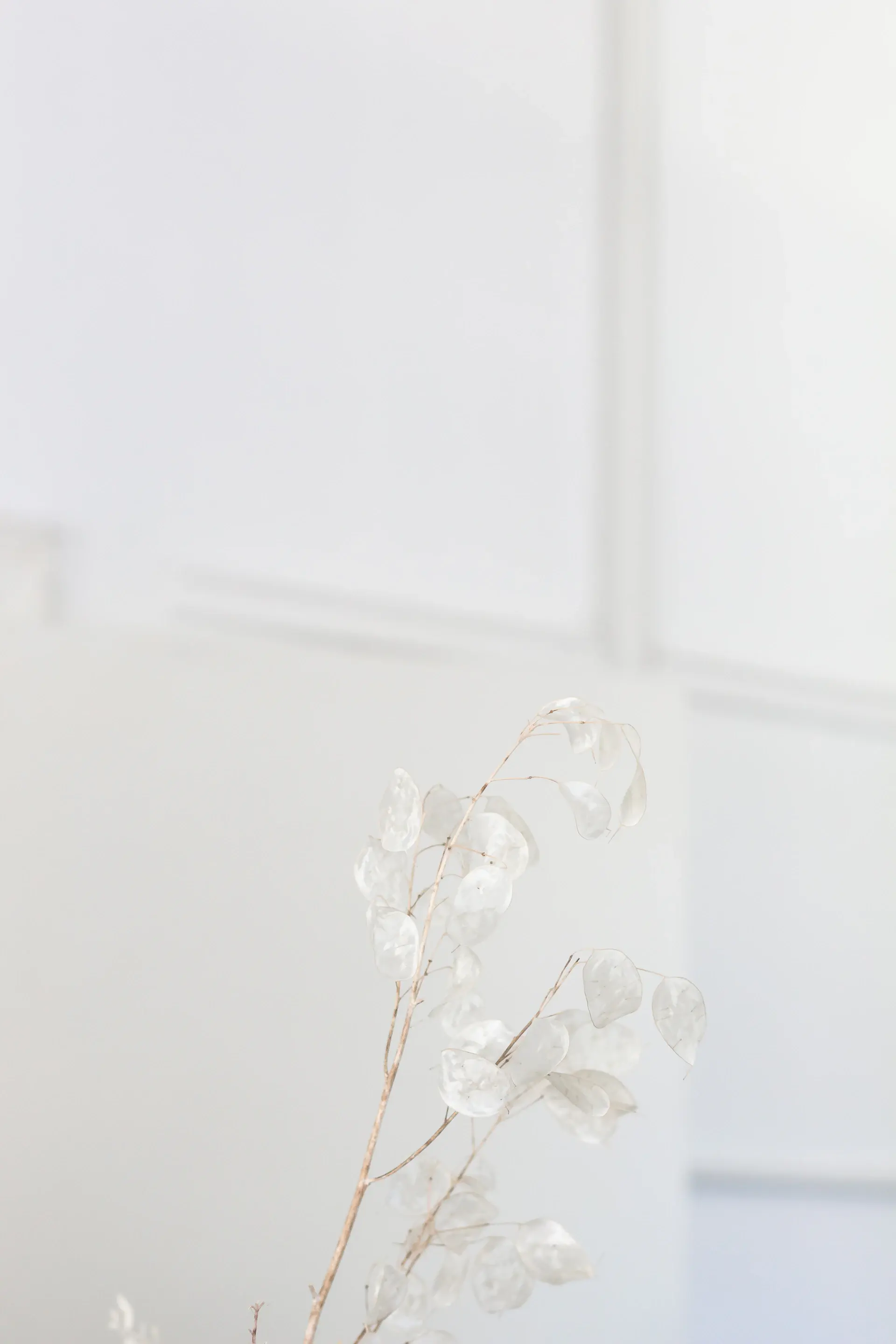 Không gian atelier Maison Éclat