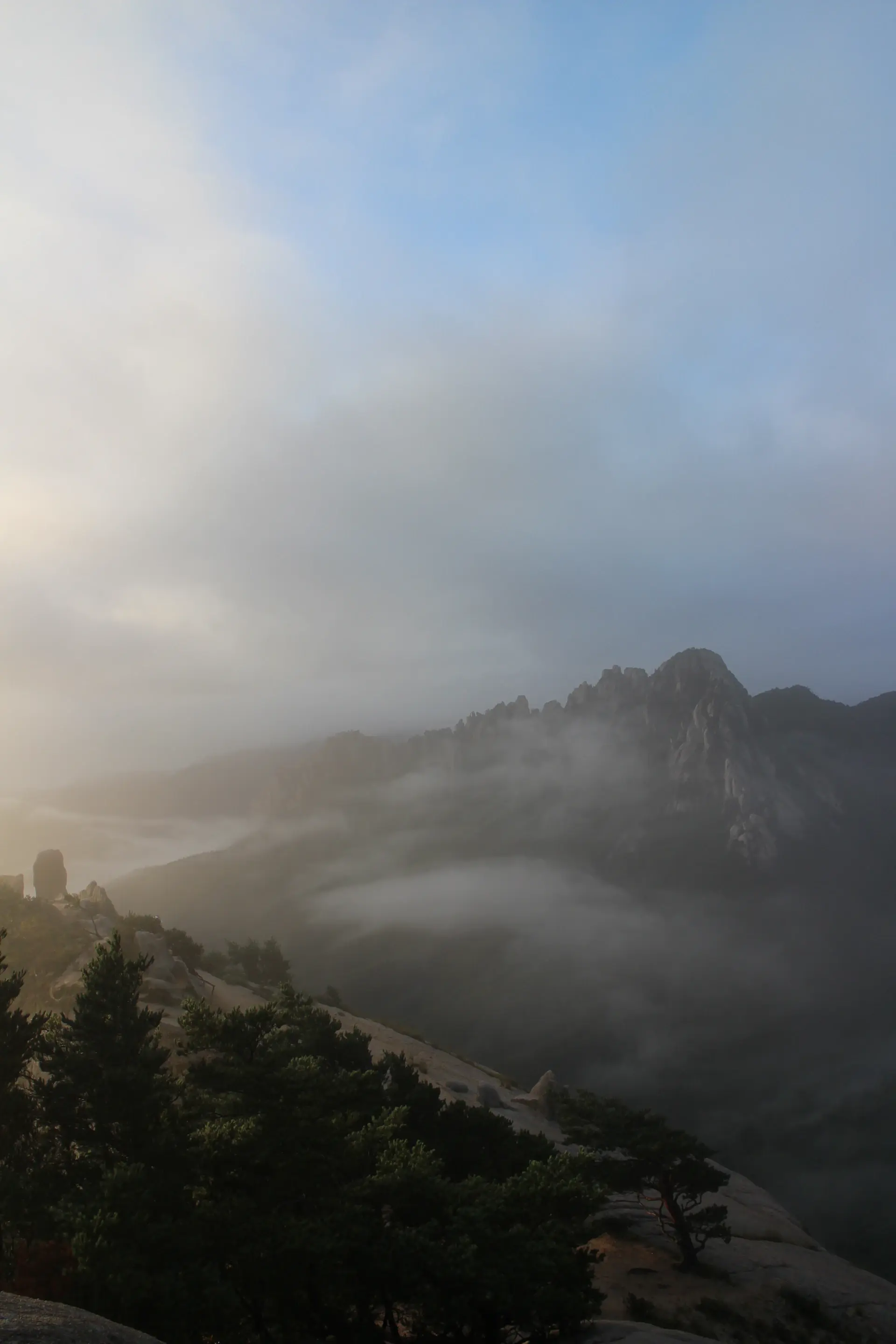Mist drifting between dark pine ridges at dawn