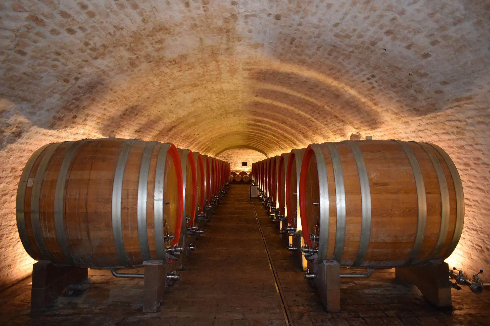 Wine cellar with arched vaults