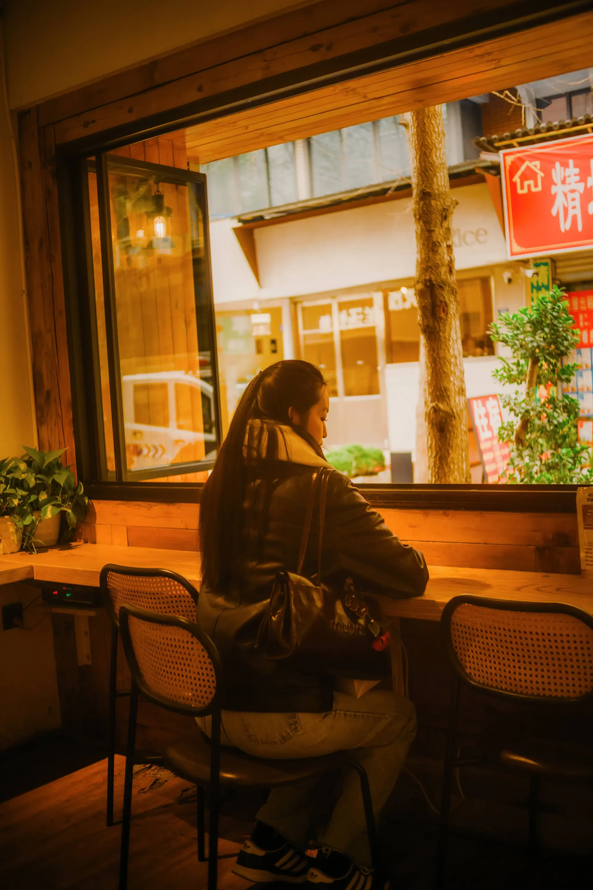 Café window seat lined with hanging plants