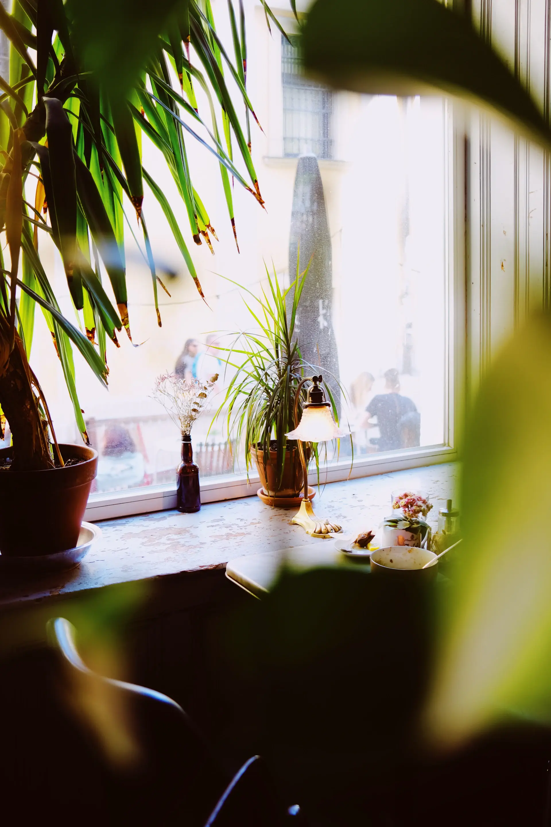 Plant-filled café window seat