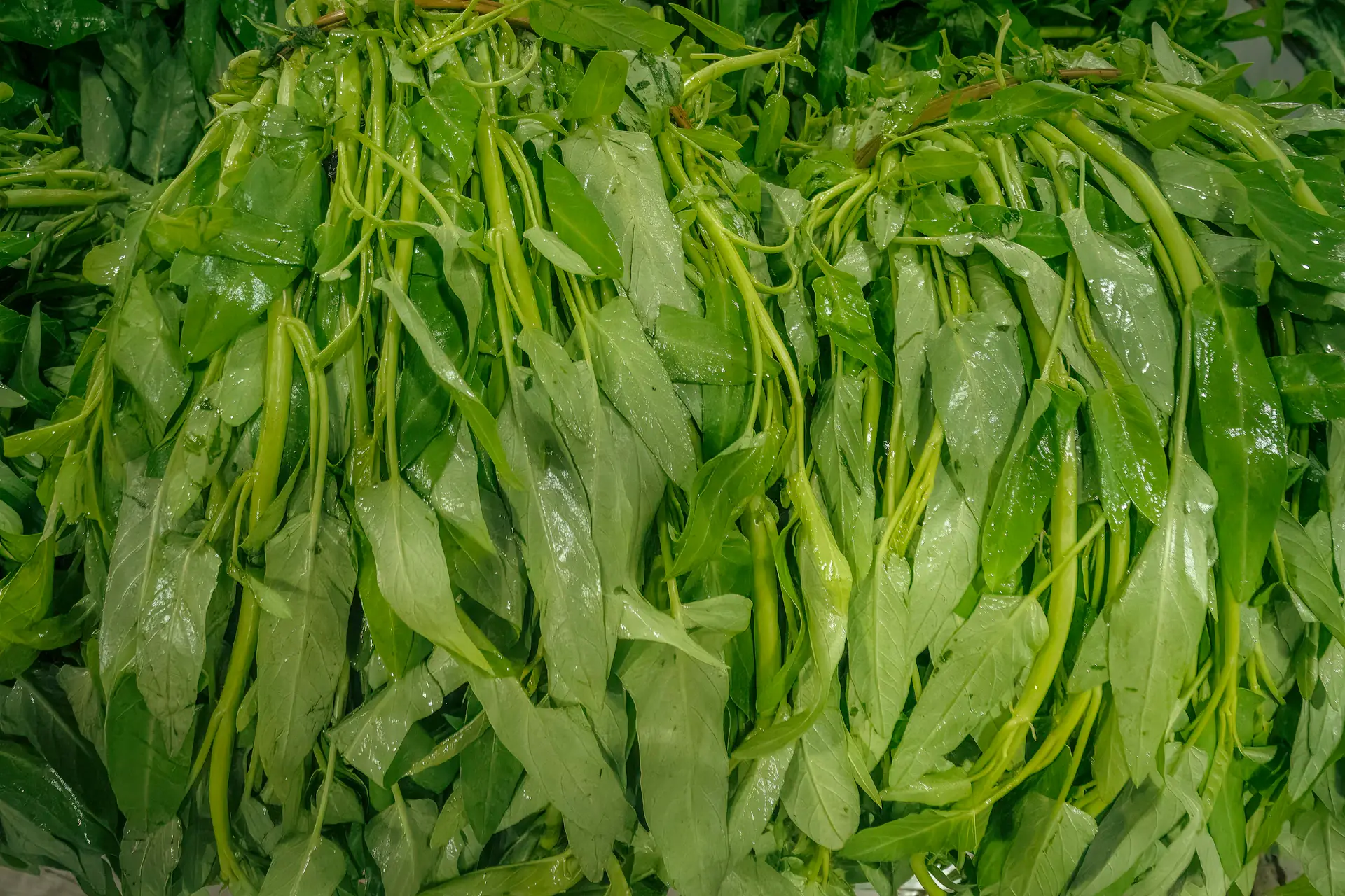 Rau muống chẻ