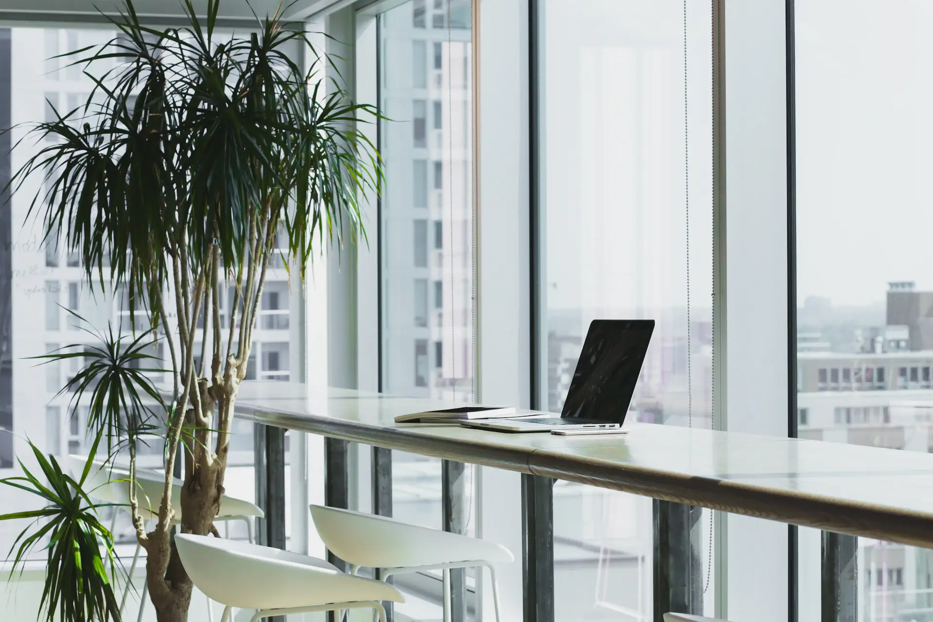 Open-plan office greened with tall floor plants and shelving foliage