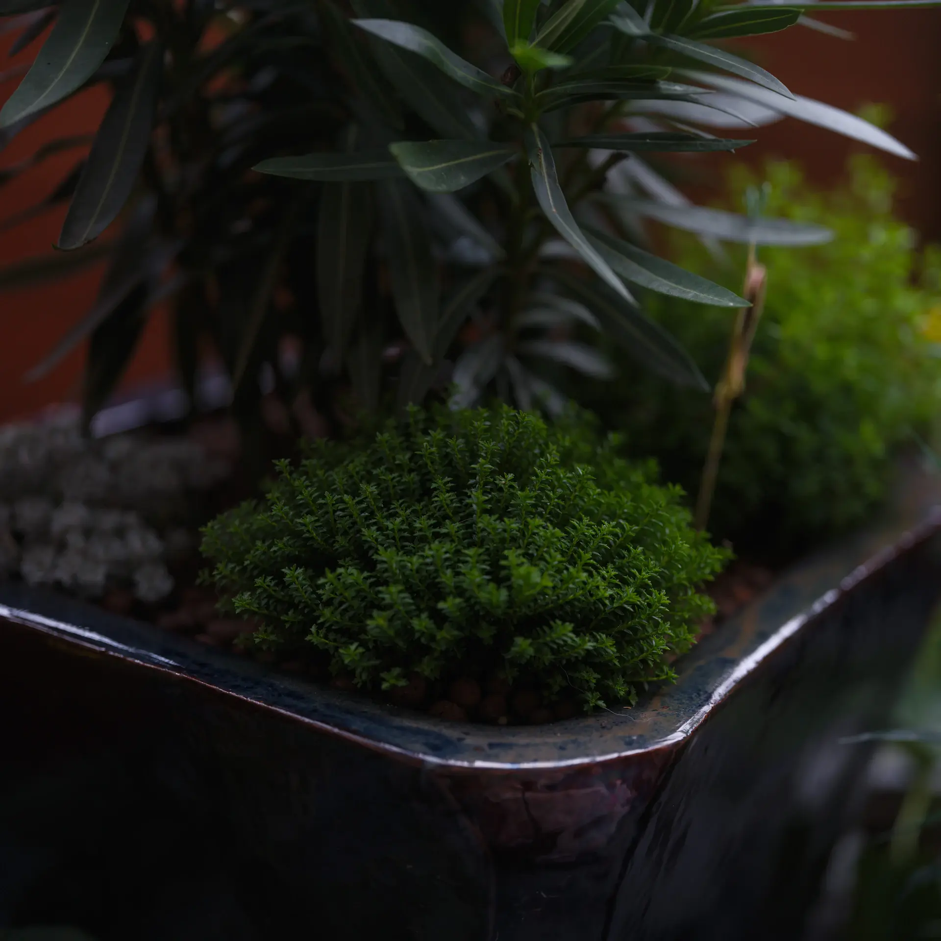 Compact balcony with a vertical plant wall