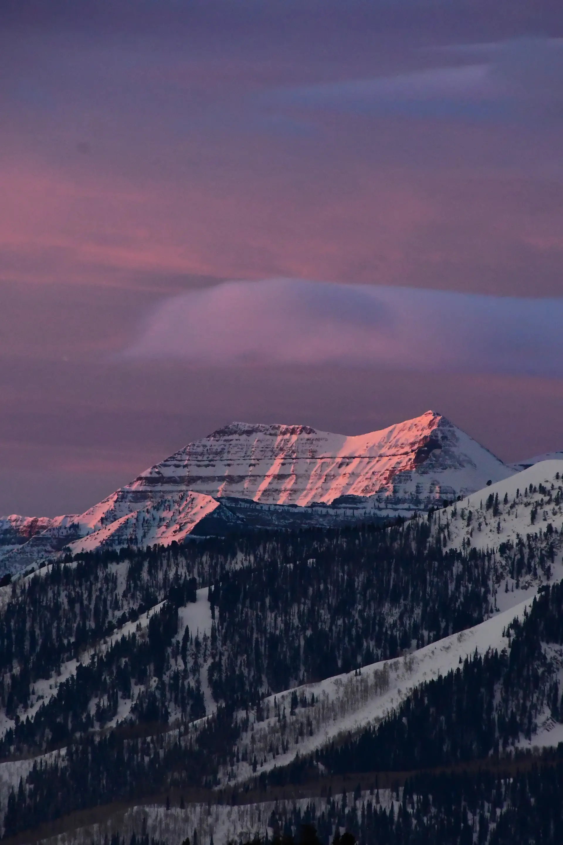 Pink dawn light setting a snowy ridge aglow