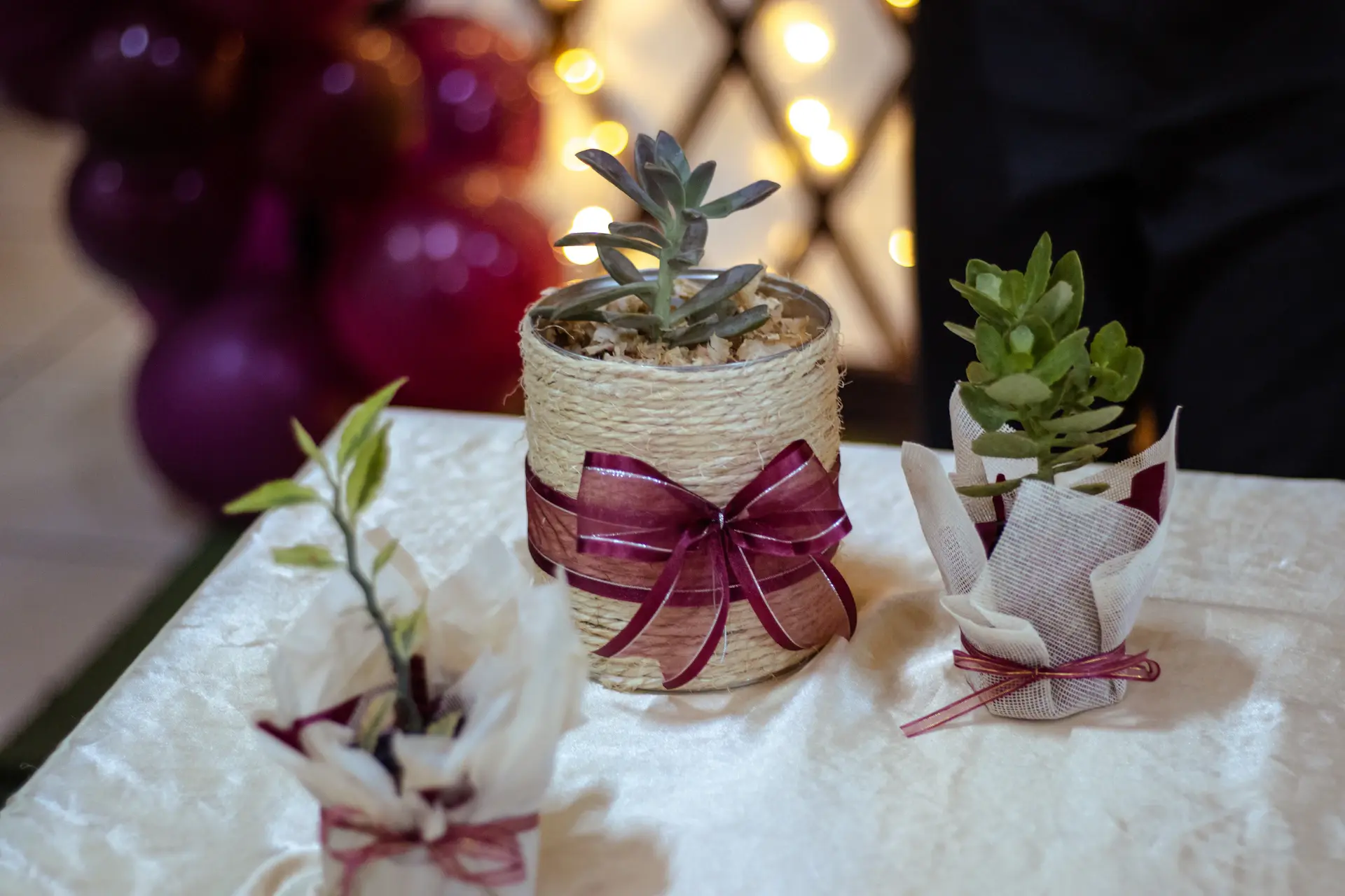 Wrapped potted plant prepared as a gift