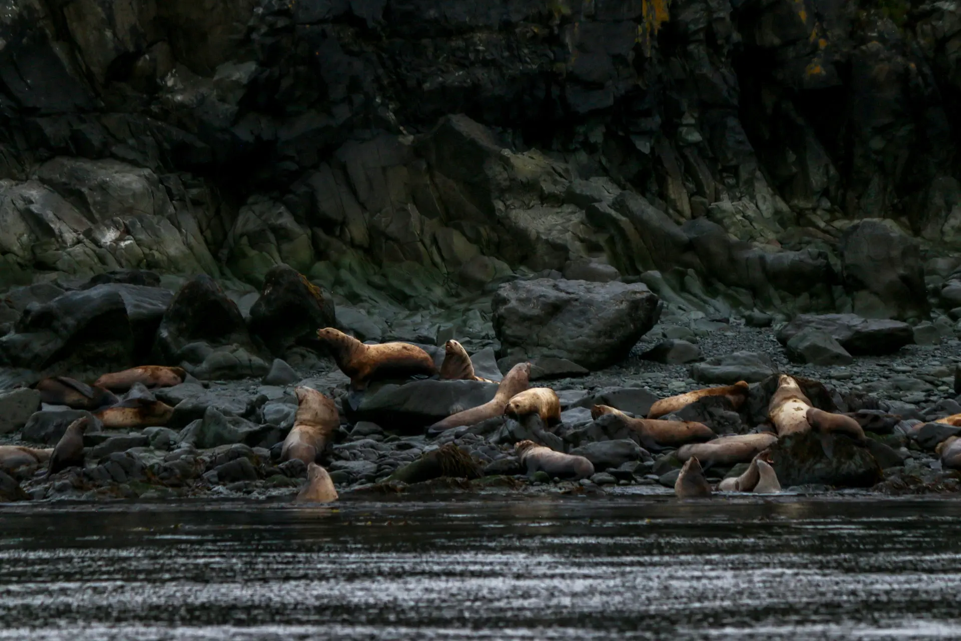 Tàu đánh bắt tôm hùm tại Bering Sea Alaska