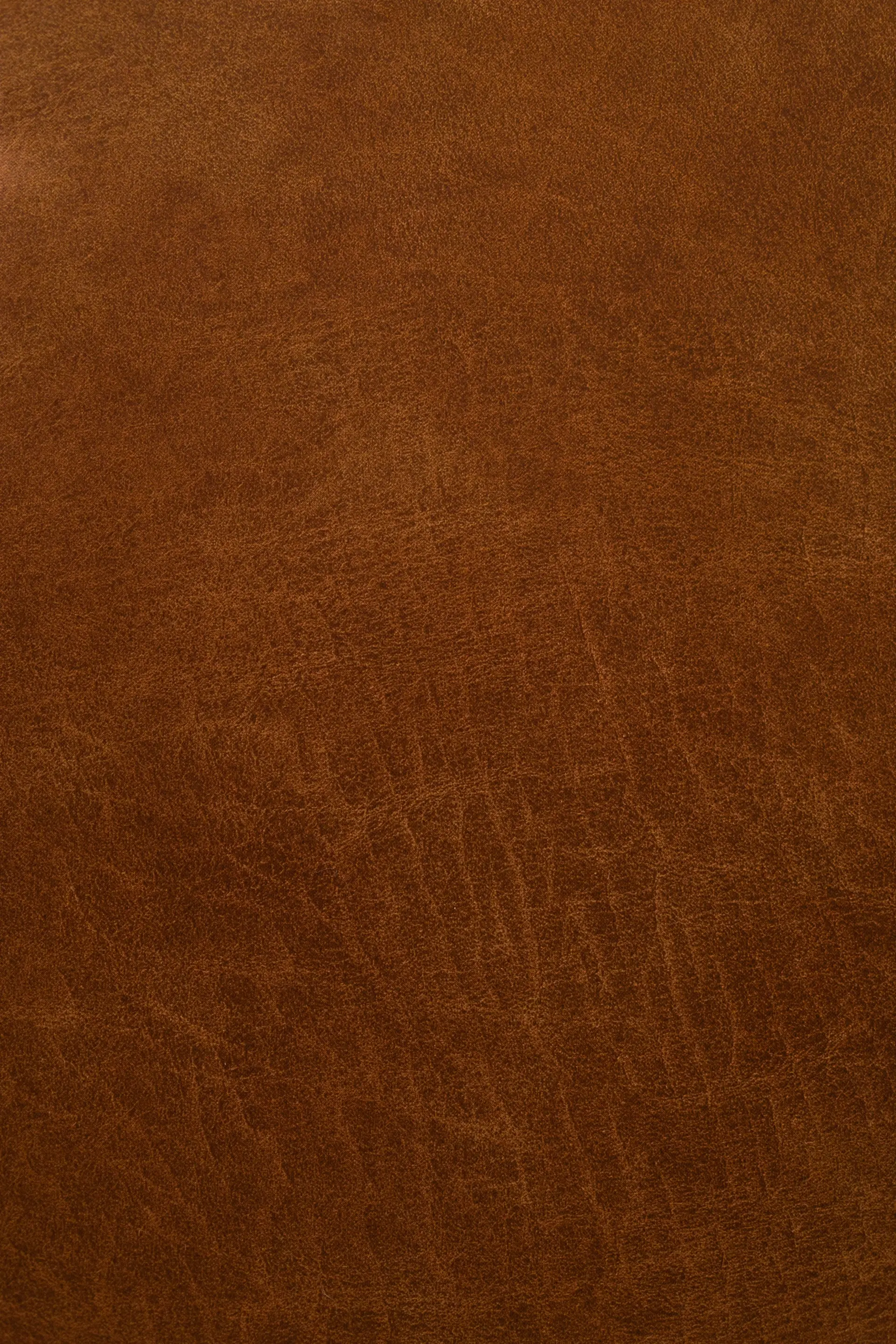 A quiet library corner with leather and brass